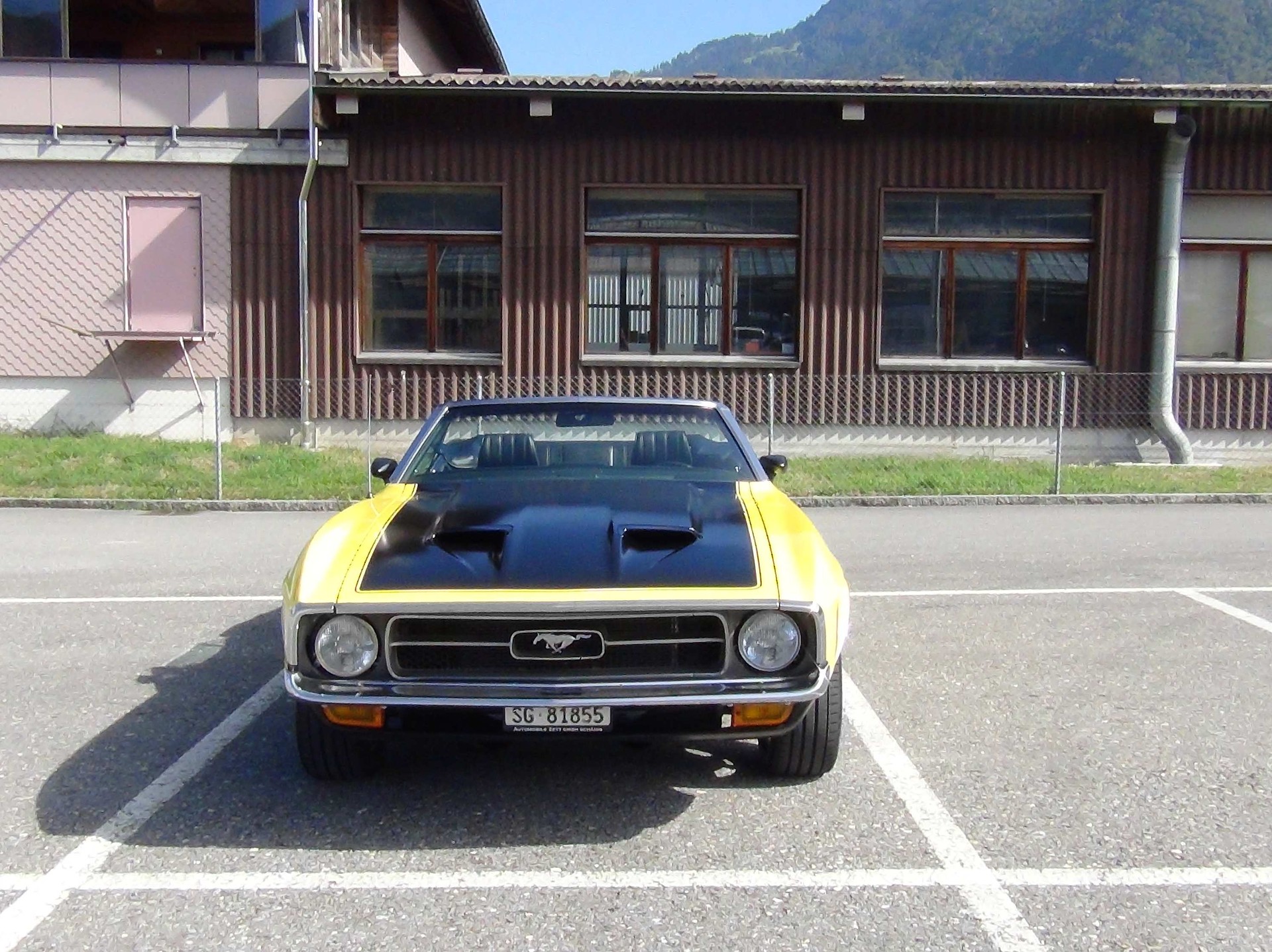 FORD MUSTANG-image-2