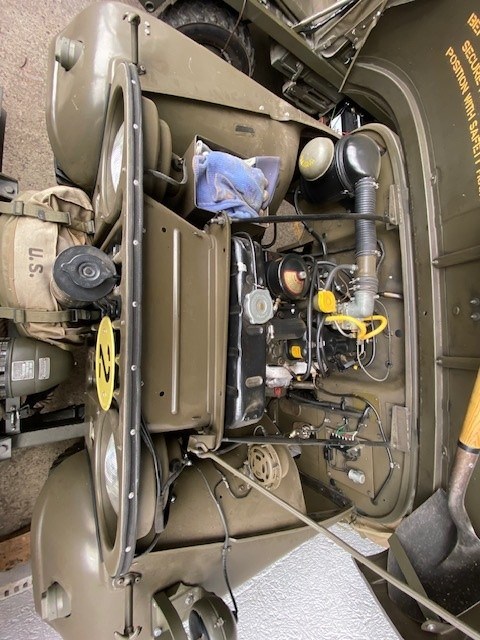 JEEP Willys M38 A1-image-9