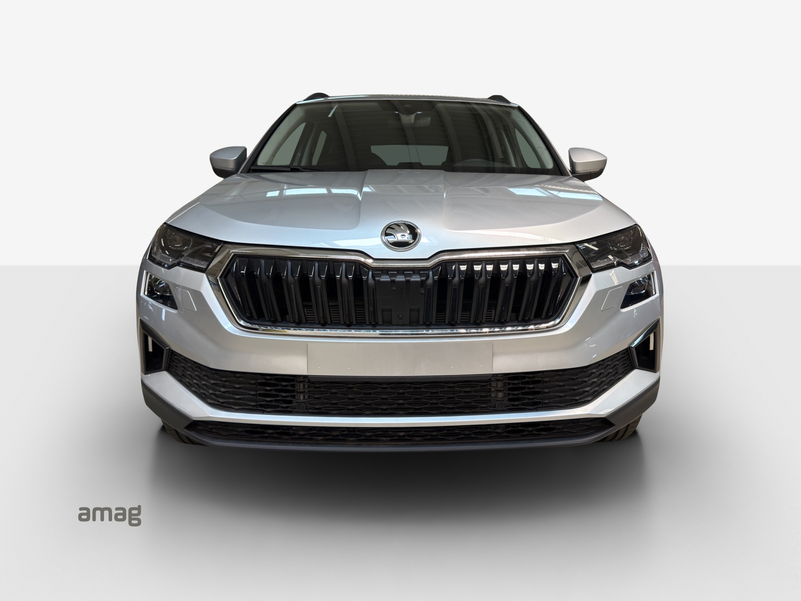 SKODA Karoq 2.0 TDI CR Selection 4x4 DSG-image-6