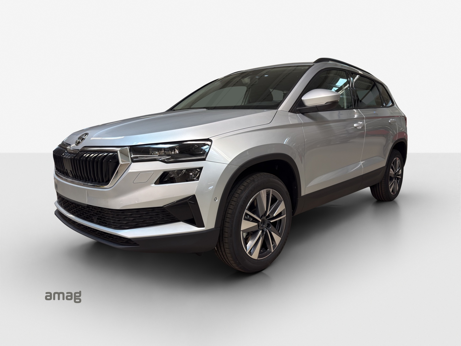 SKODA Karoq 2.0 TDI CR Selection 4x4 DSG-image-0