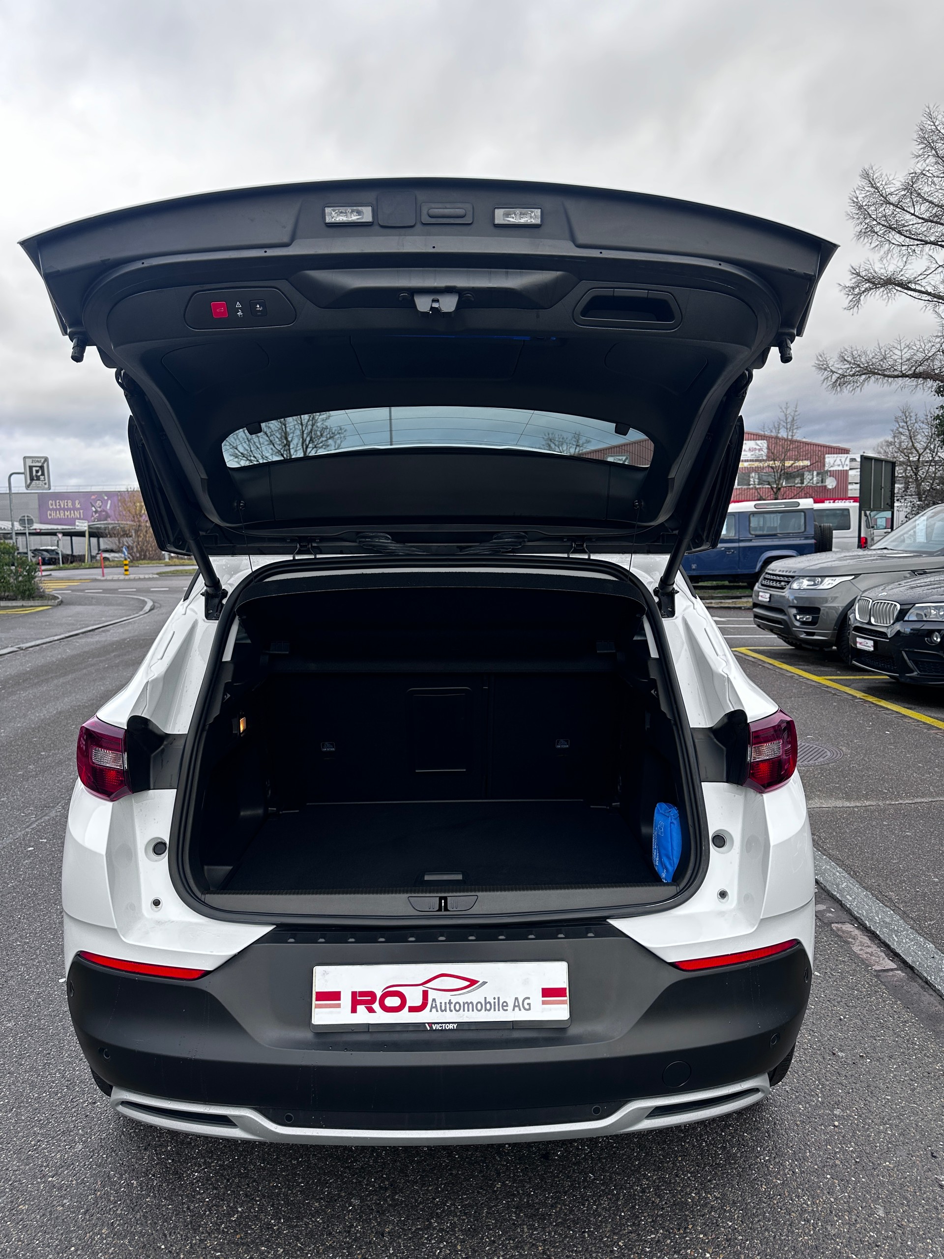 OPEL Grandland X 1.6CDTi Excellence Automatik-image-11