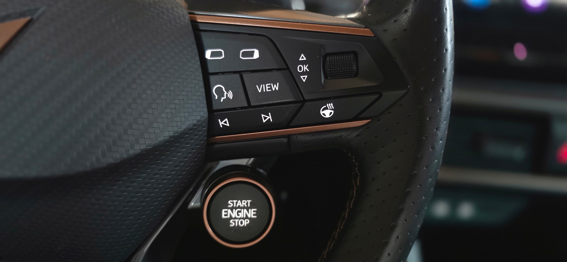 CUPRA Formentor 2.5TSI VZ5 4Drive DSG *Carbonschalensitze*Spurhalte-&Abstandsassistent*Sitz-&Lenkradheizung*Parkassistent*-image-13
