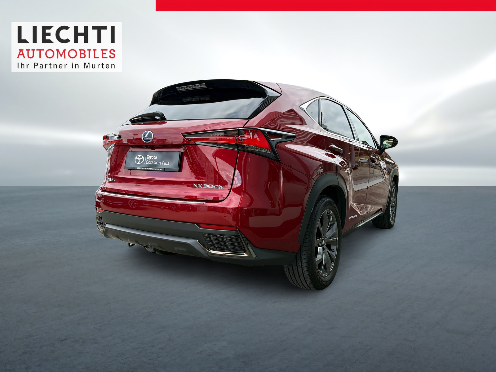 LEXUS NX 300h F-Sport E-Four Automatic-image-13