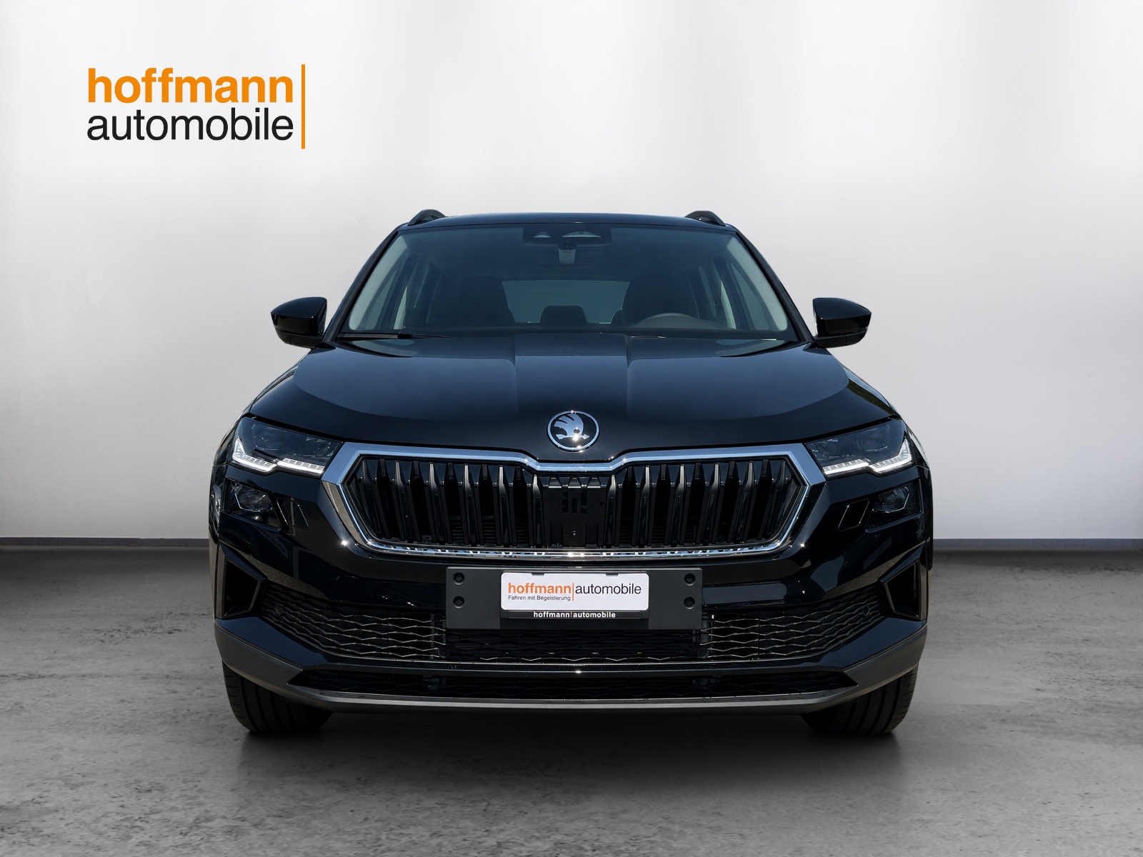 SKODA Karoq 2.0 TDI CR Dynamic 4x4 DSG-image-1