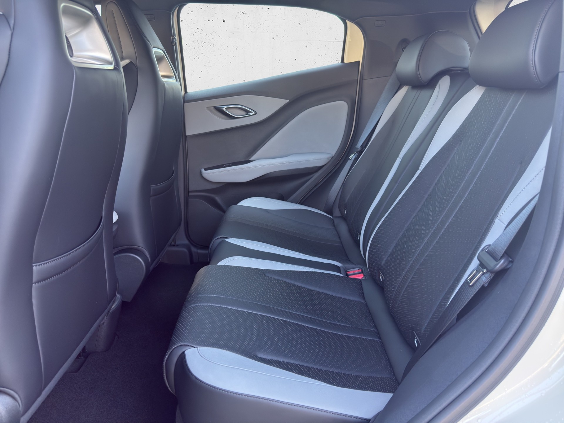 BYD Dolphin Surf Comfort-image-12