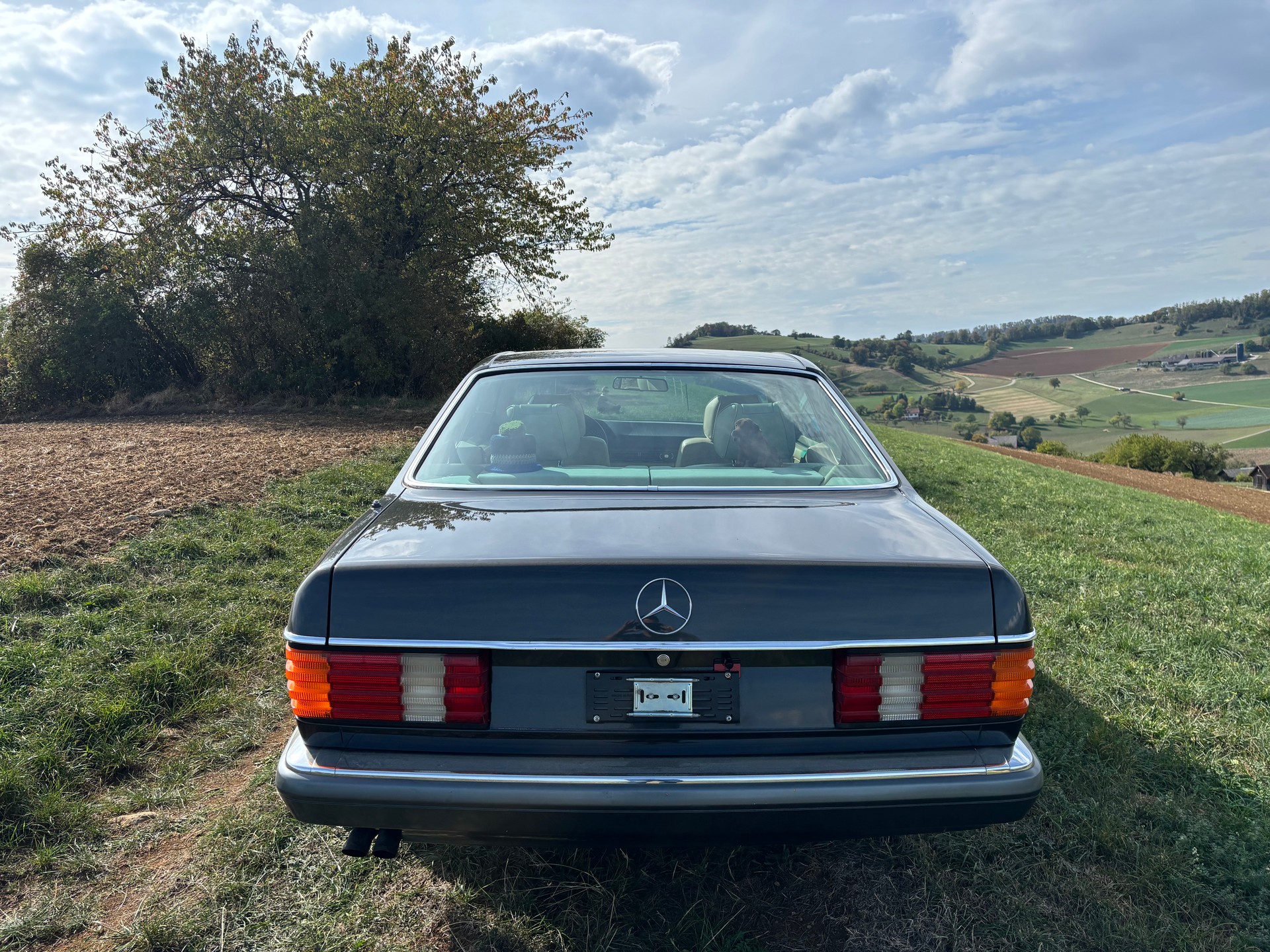 MERCEDES-BENZ 420 SEC-image-11