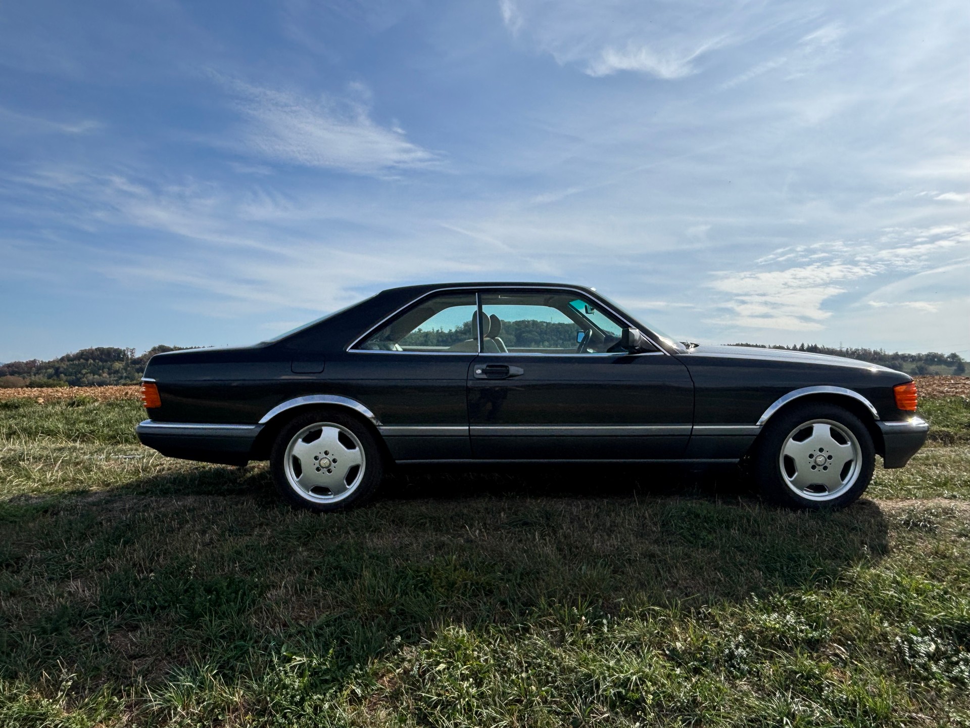 MERCEDES-BENZ 420 SEC-image-8