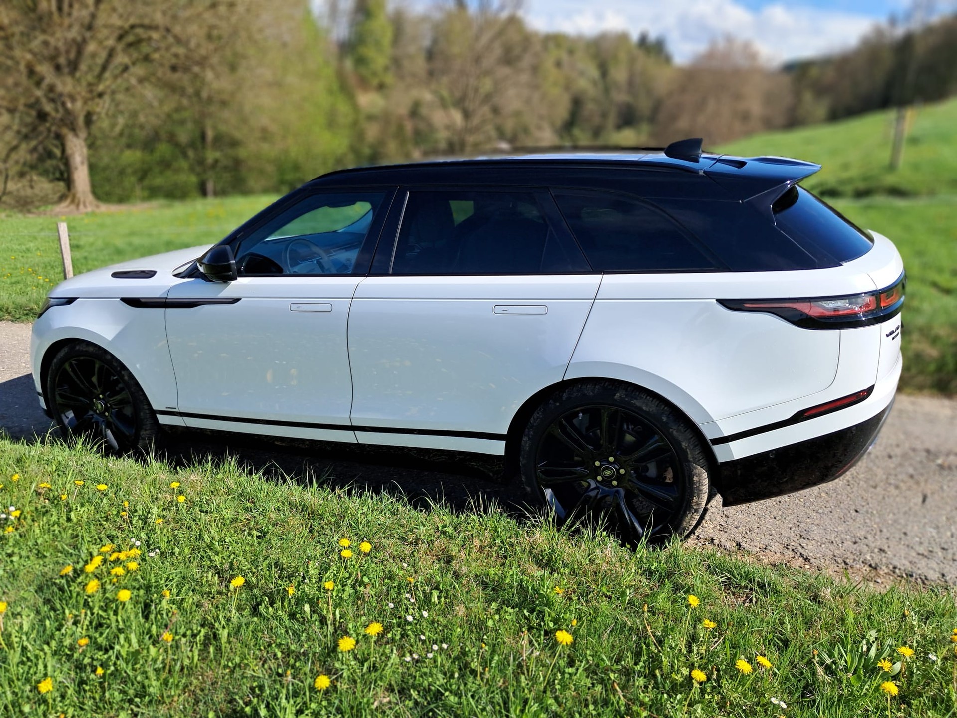 LAND ROVER 3.0 D 300 R-Dynamic HSE-image-3