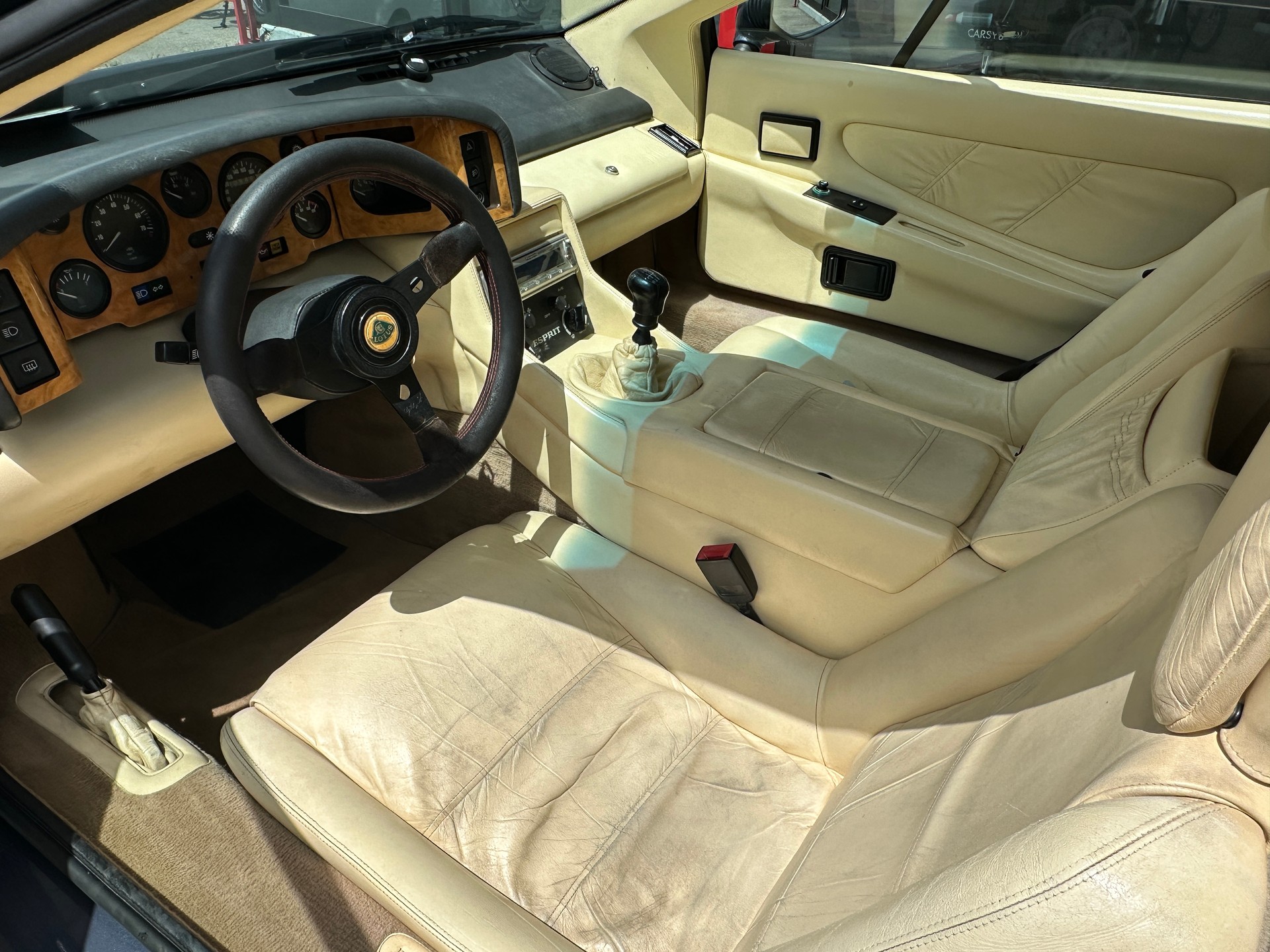 LOTUS SE-image-7