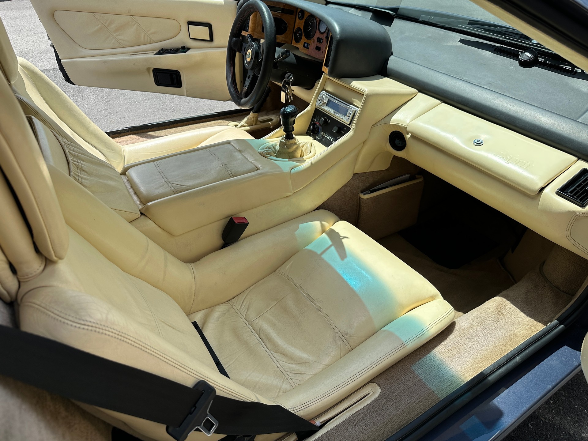 LOTUS SE-image-13