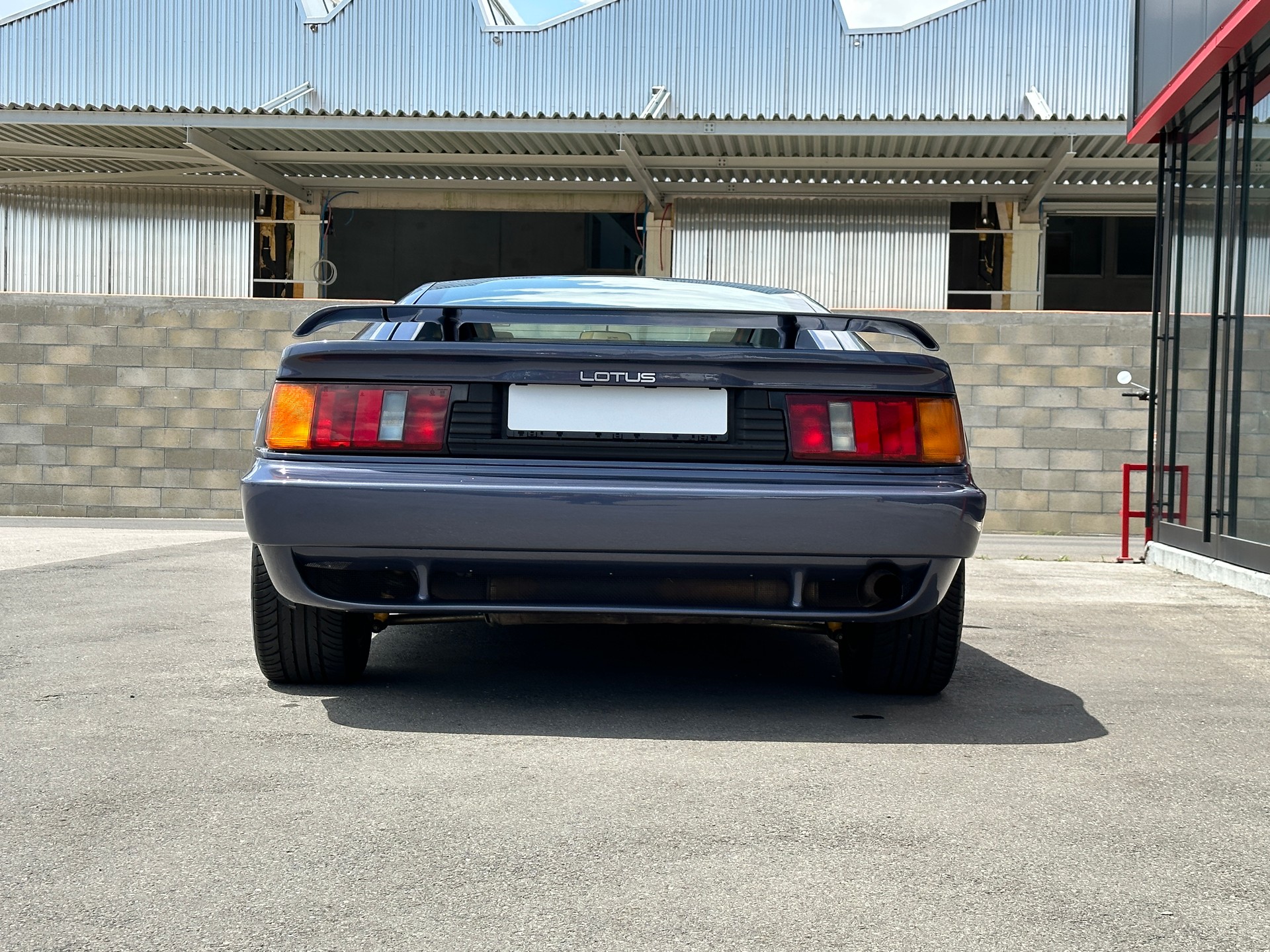 LOTUS SE-image-5