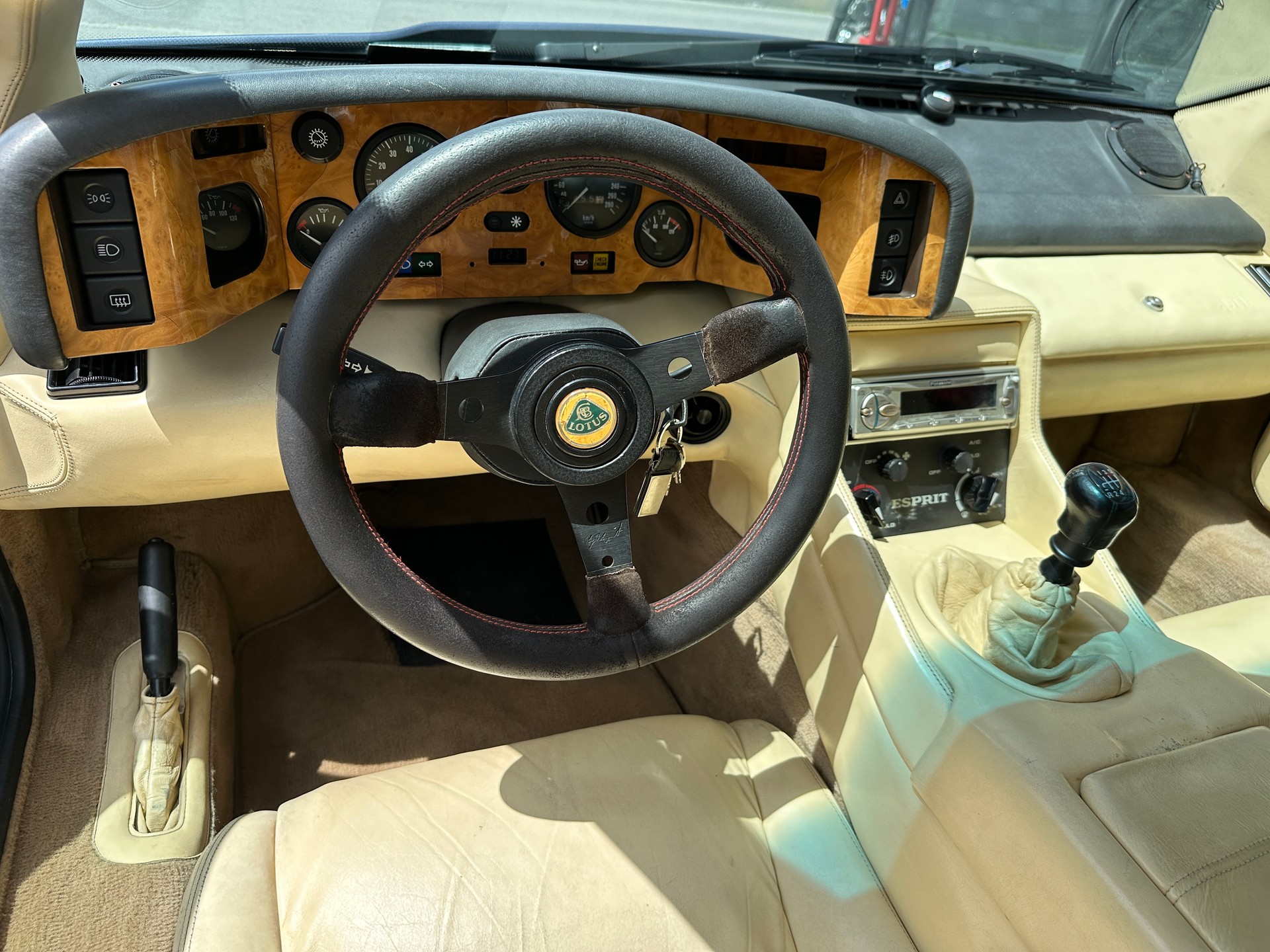 LOTUS SE-image-8