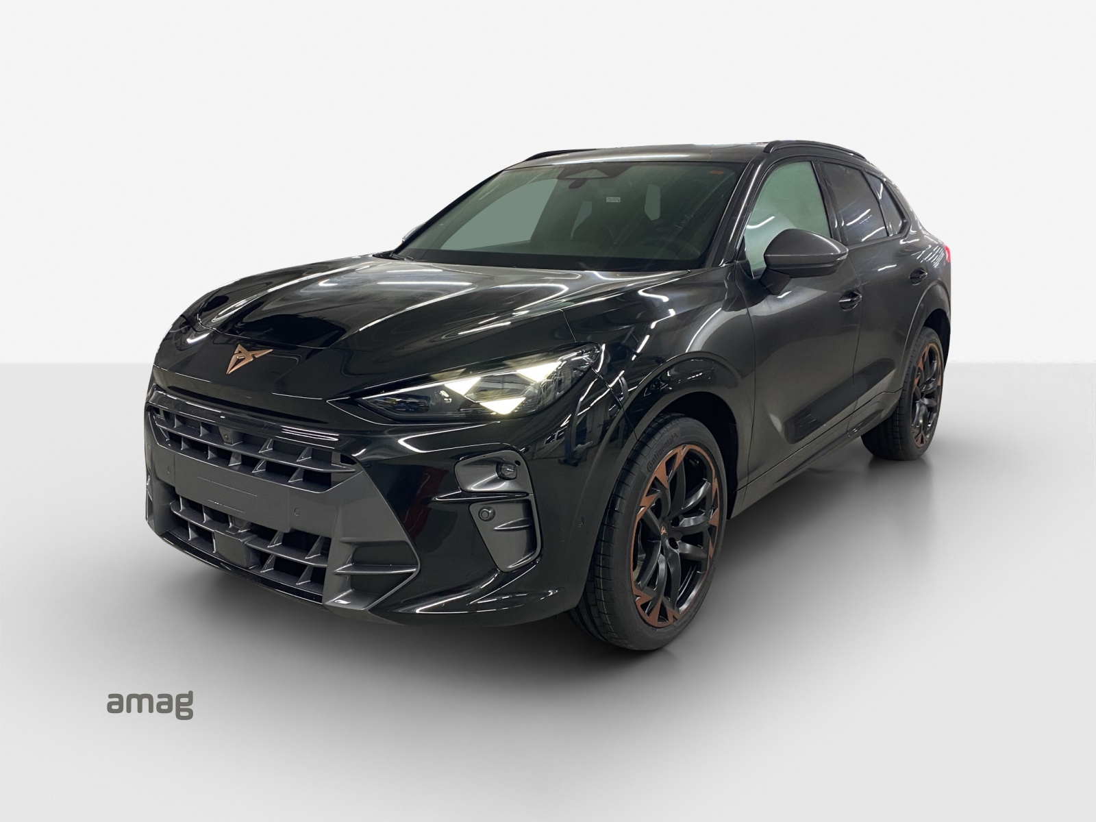 CUPRA Terramar 2.0 TSI DSG 4Drive VZ-image-0