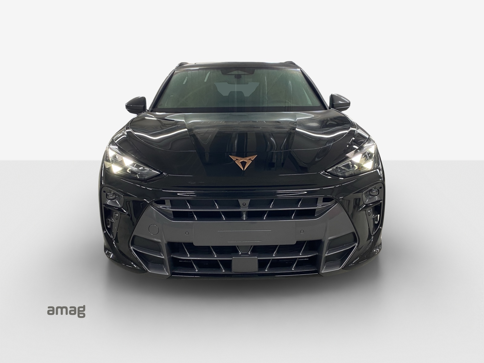 CUPRA Terramar 2.0 TSI DSG 4Drive VZ-image-6