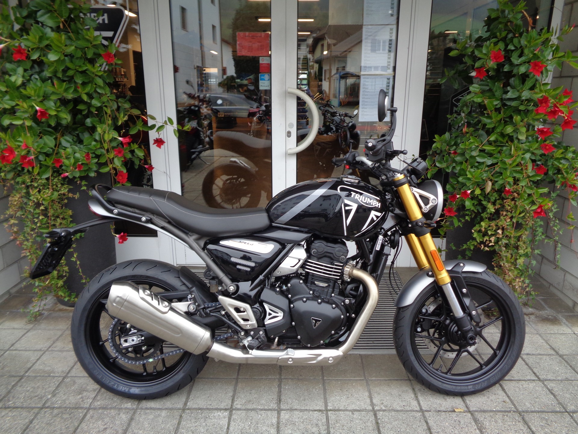 TRIUMPH Speed 400-showroom-element-3