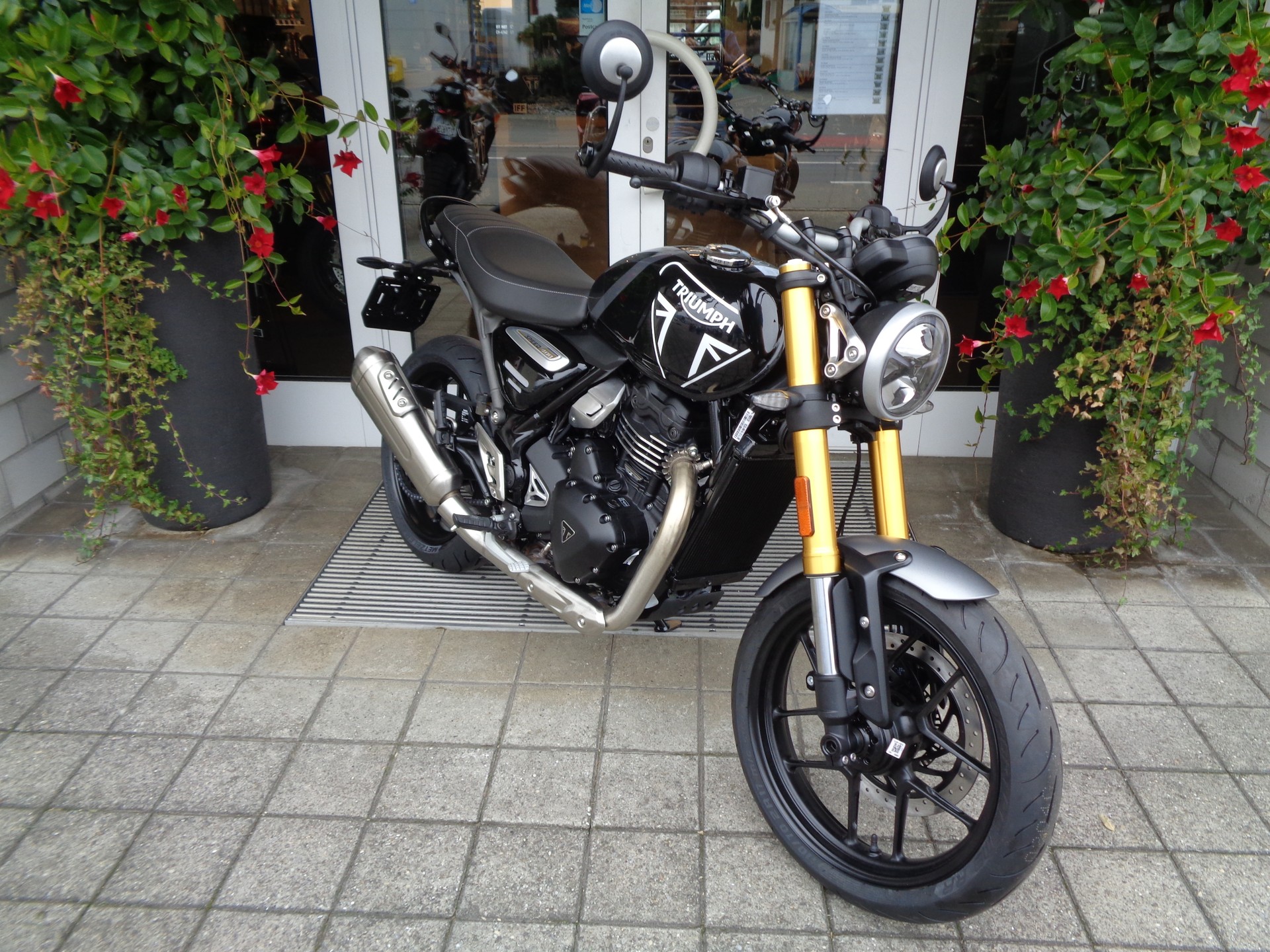 TRIUMPH Speed 400-showroom-element-2