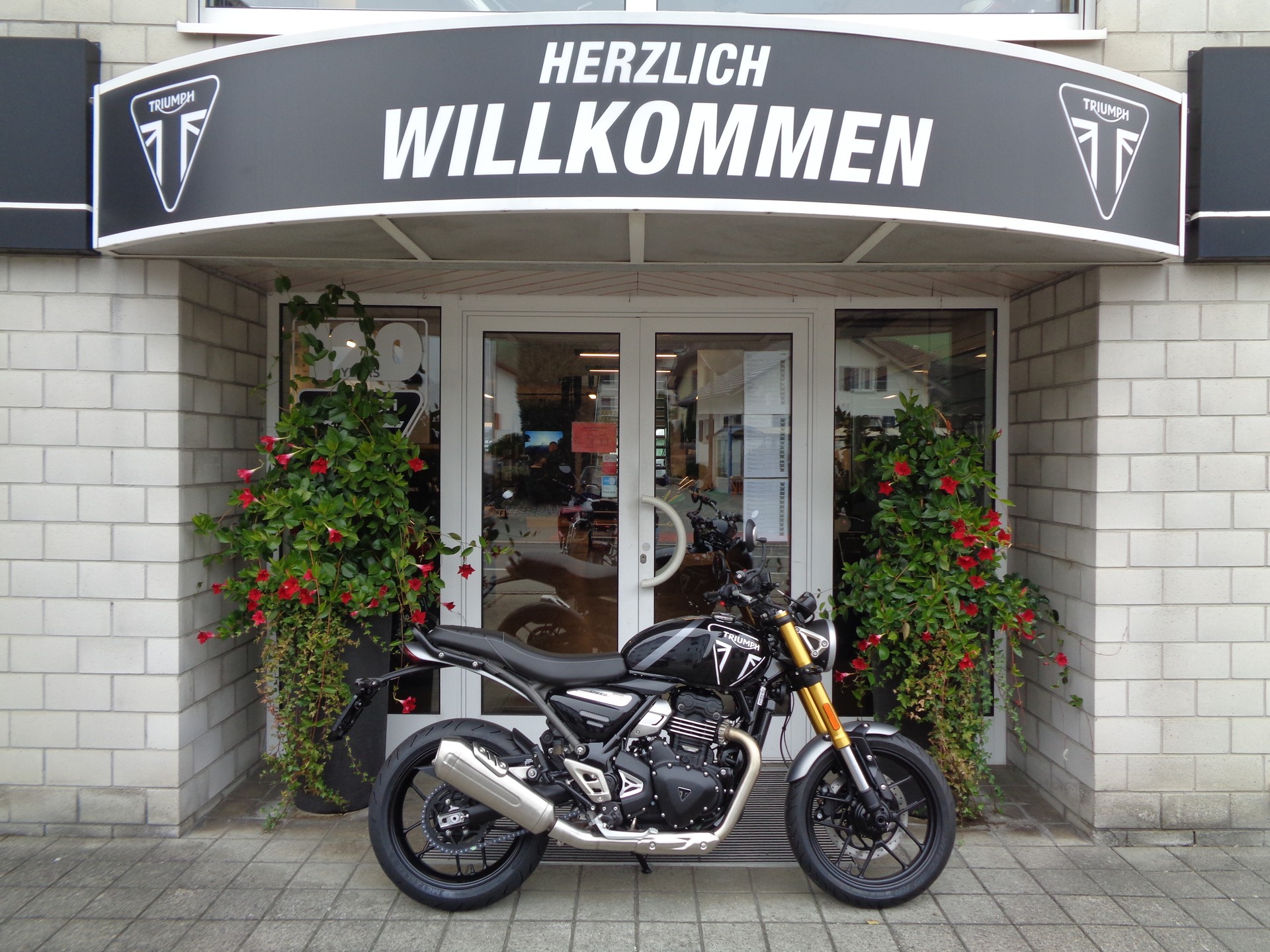TRIUMPH Speed 400-showroom-element-1
