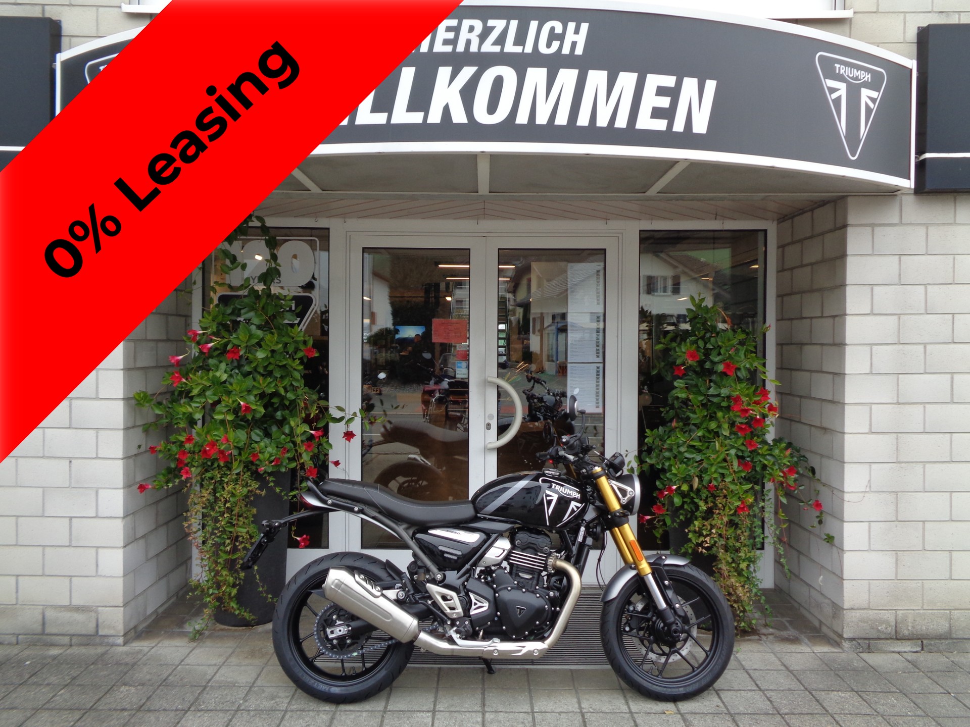 TRIUMPH Speed 400