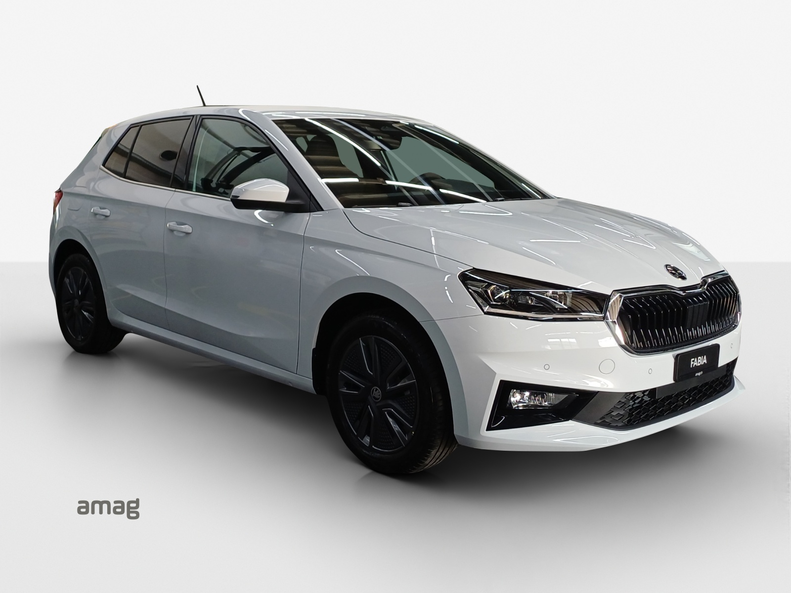 SKODA Fabia 1.0 TSI Dynamic DSG-image-5