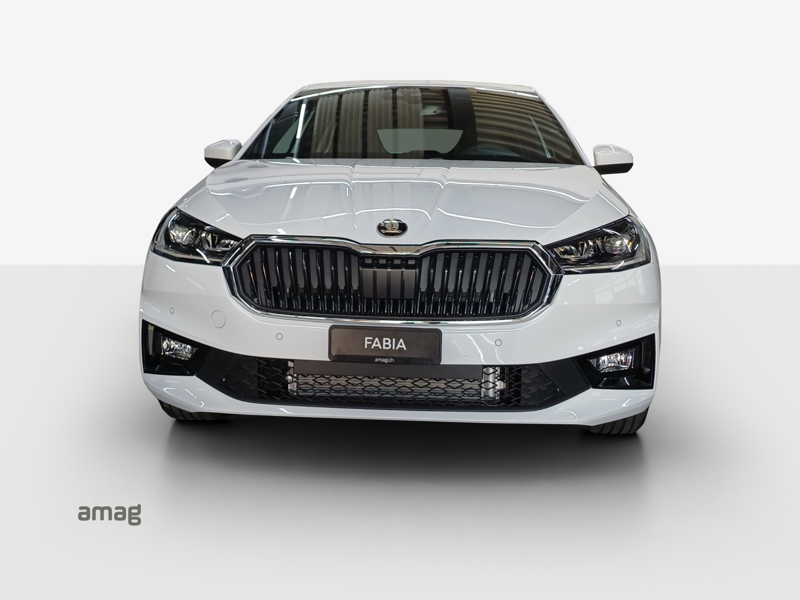 SKODA Fabia 1.0 TSI Dynamic DSG-image-6