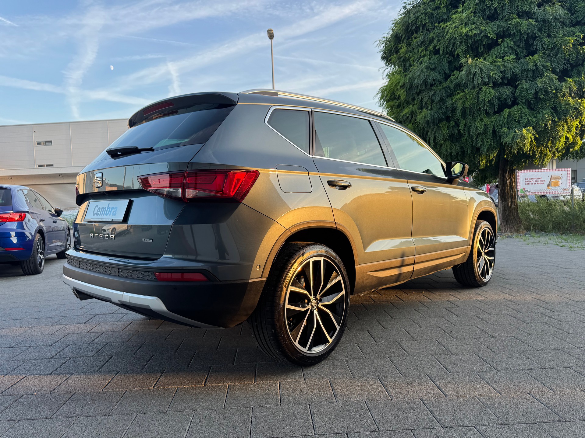 SEAT Ateca 2.0 TDI CR Xcellence 4Drive DSG-image-7