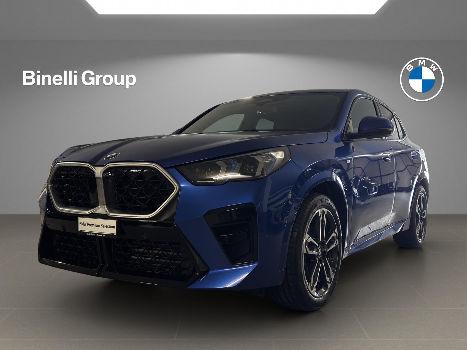 BMW X2 20d xDrive paddles-image-0