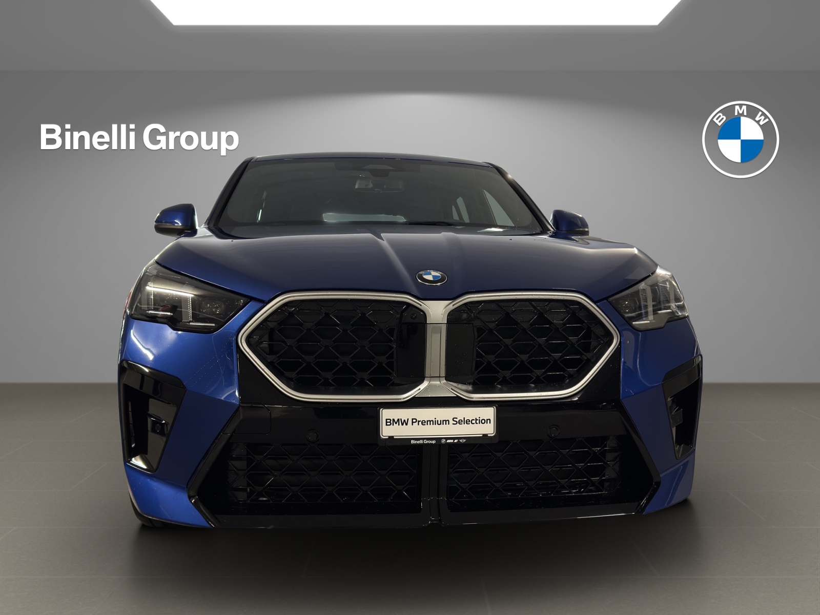 BMW X2 20d xDrive paddles-image-1