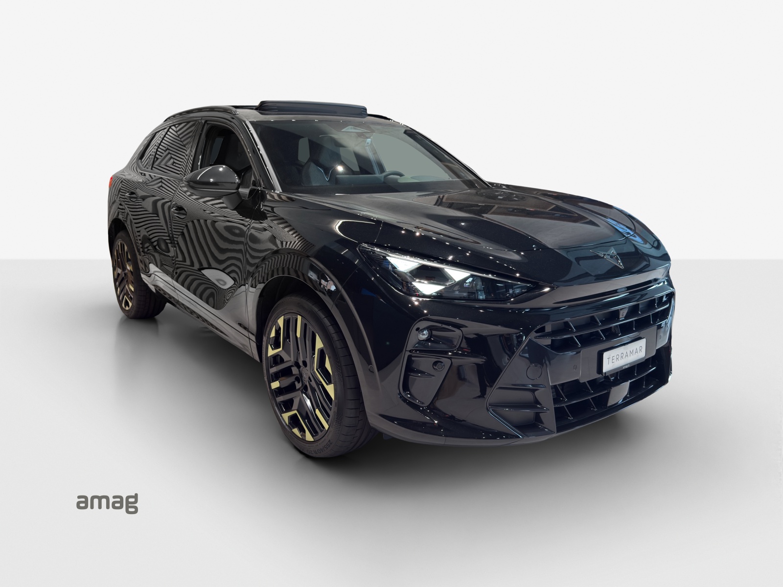 CUPRA Terramar 2.0 TSI DSG 4Drive VZ-image-3