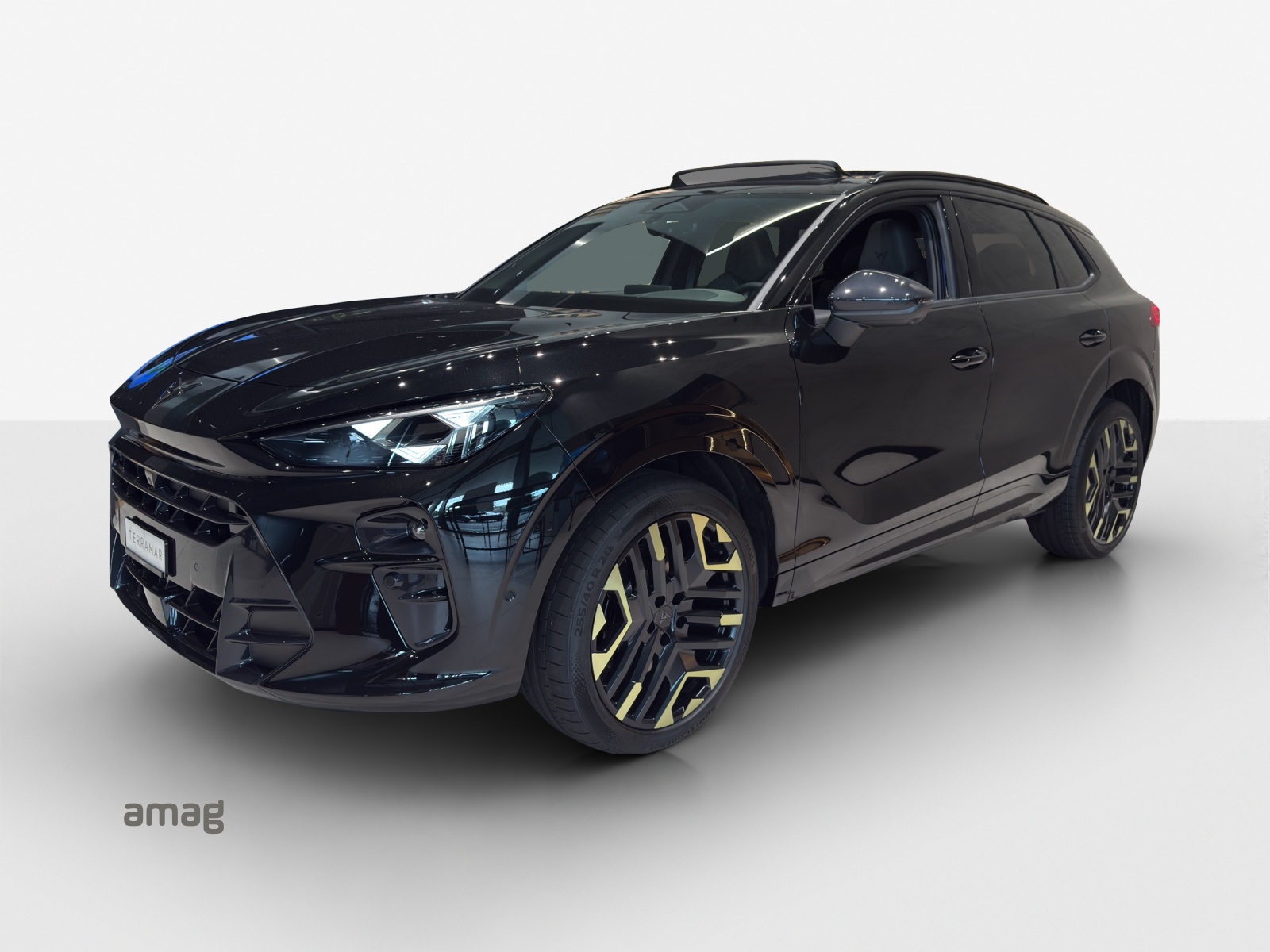CUPRA Terramar 2.0 TSI DSG 4Drive VZ-image-0