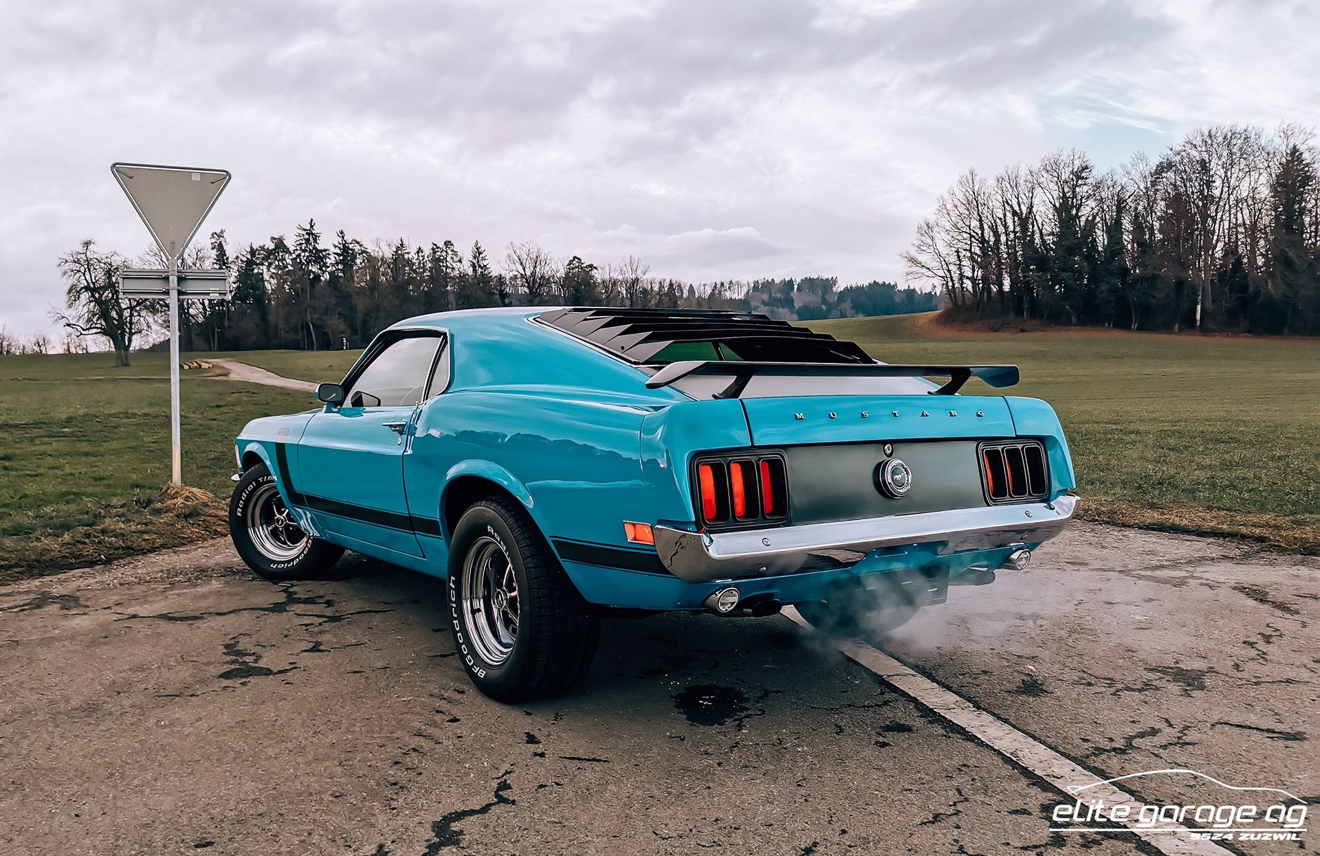FORD MUSTANG V8-image-8