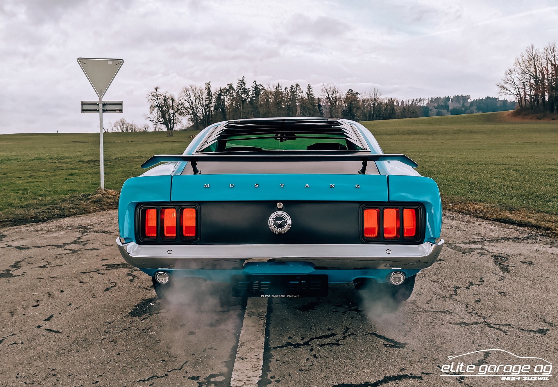 FORD MUSTANG V8-image-6