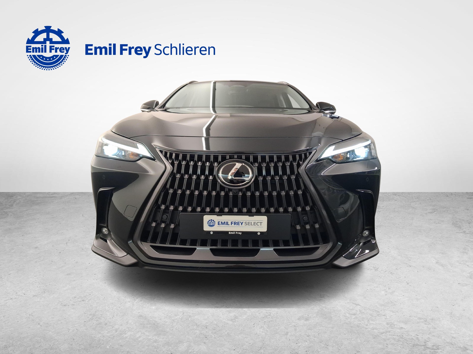 LEXUS NX 350h Comfort-image-7