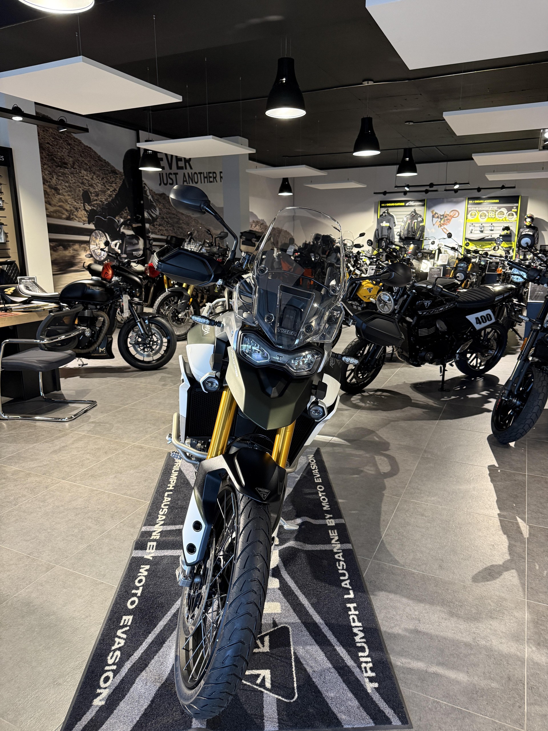 TRIUMPH Tiger 900 Rally Pro-showroom-element-2