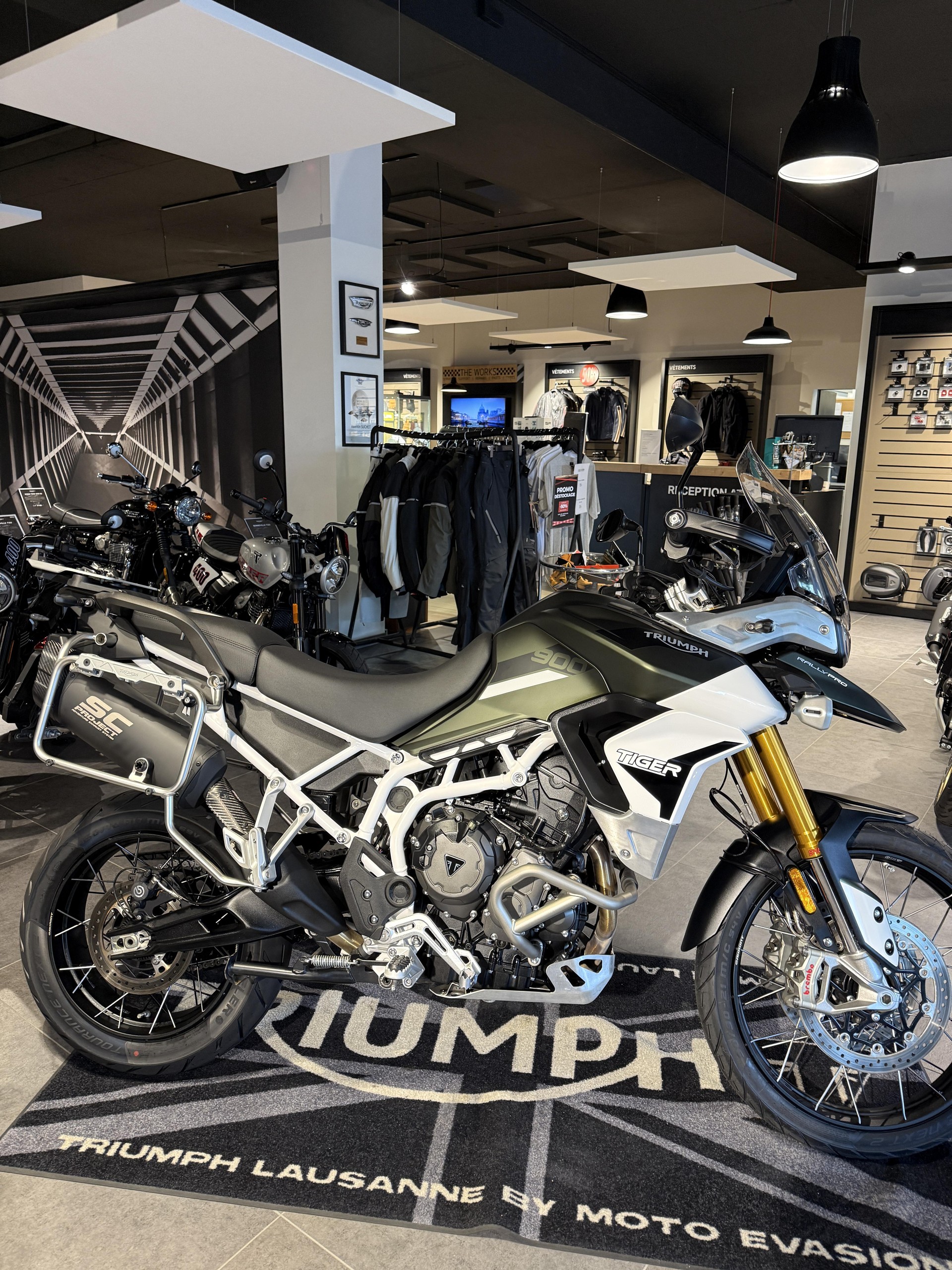 TRIUMPH Tiger 900 Rally Pro