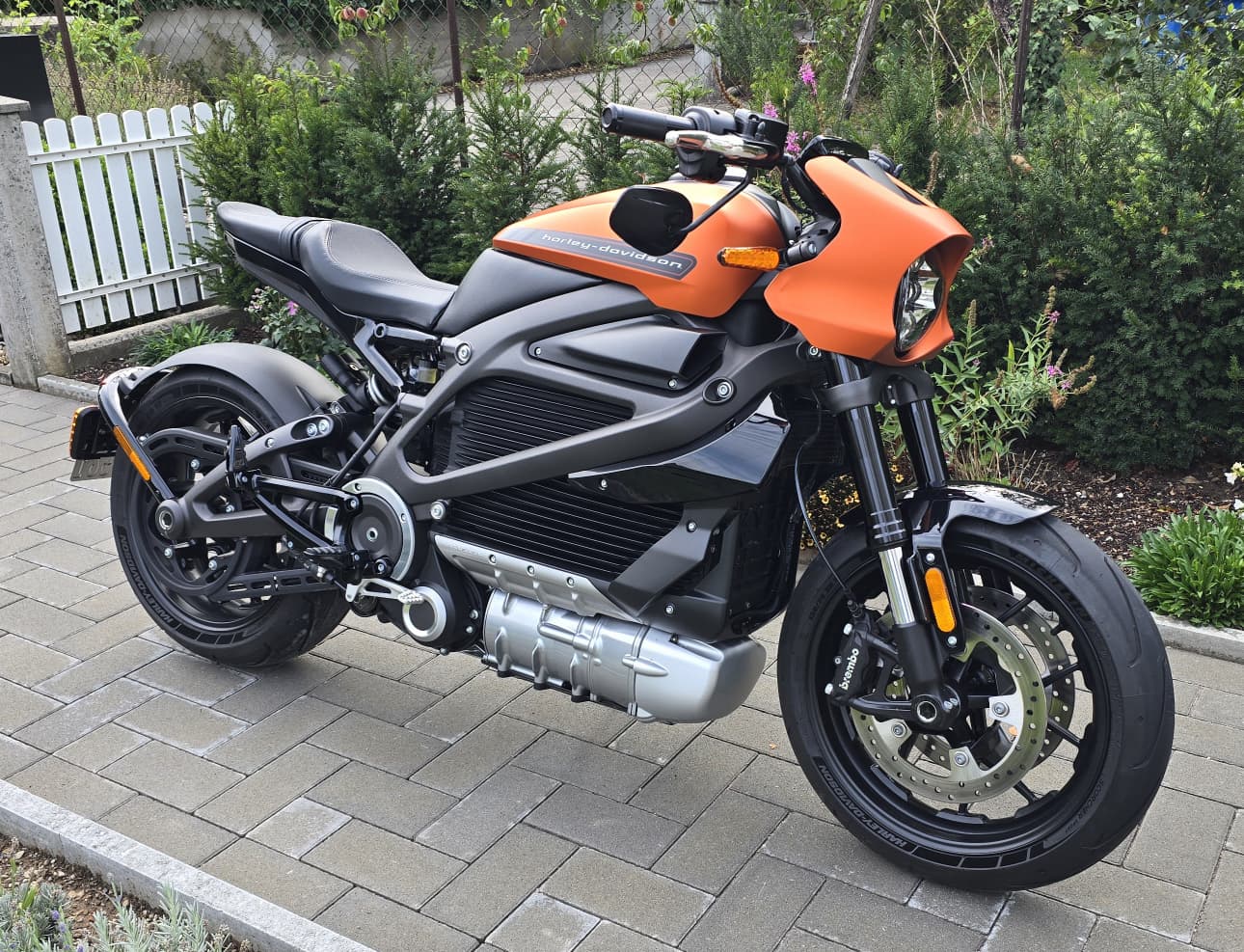 HARLEY-DAVIDSON Live Wire