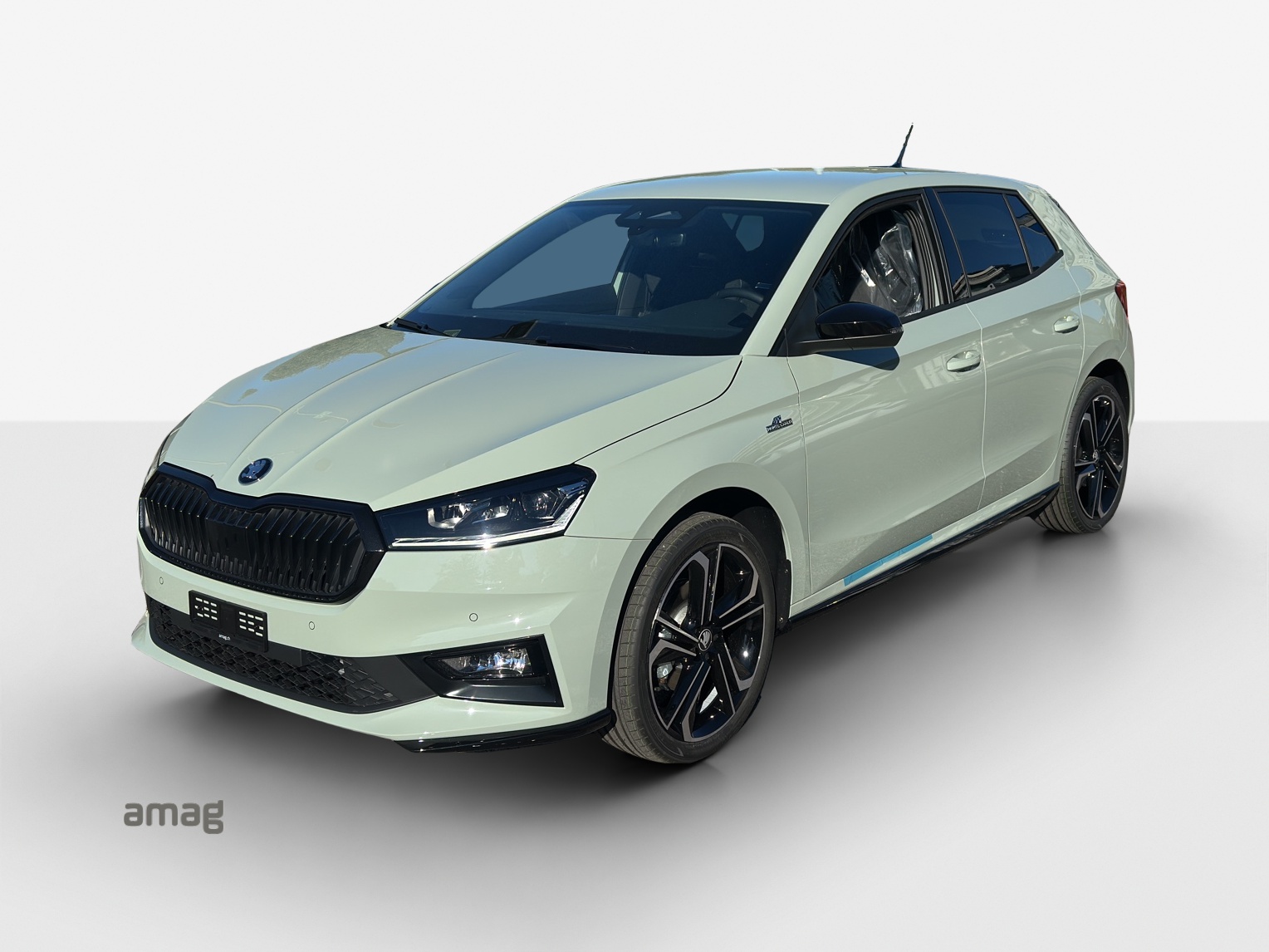 SKODA Fabia 1.0 TSI Monte Carlo DSG-image-0