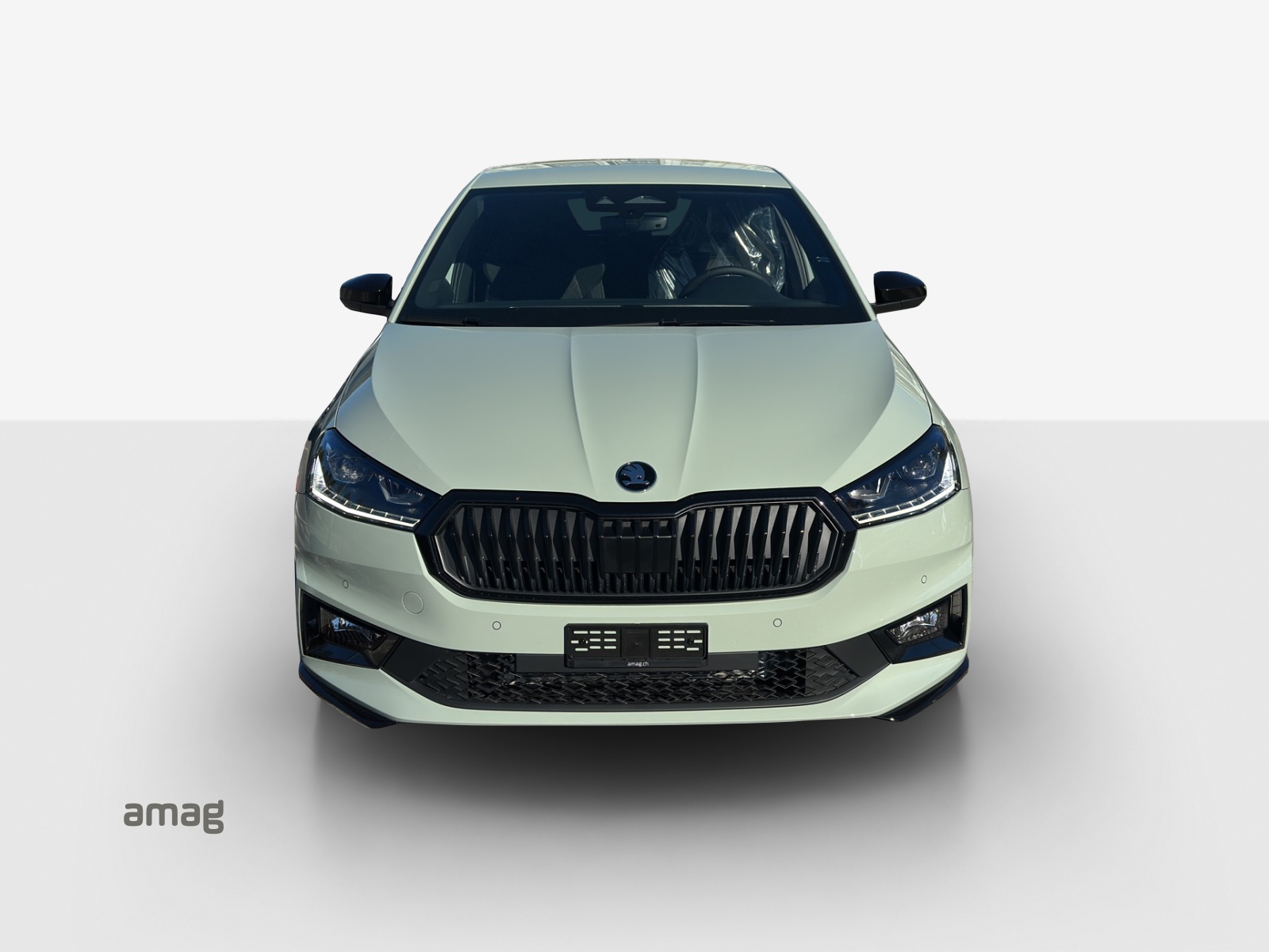 SKODA Fabia 1.0 TSI Monte Carlo DSG-image-6