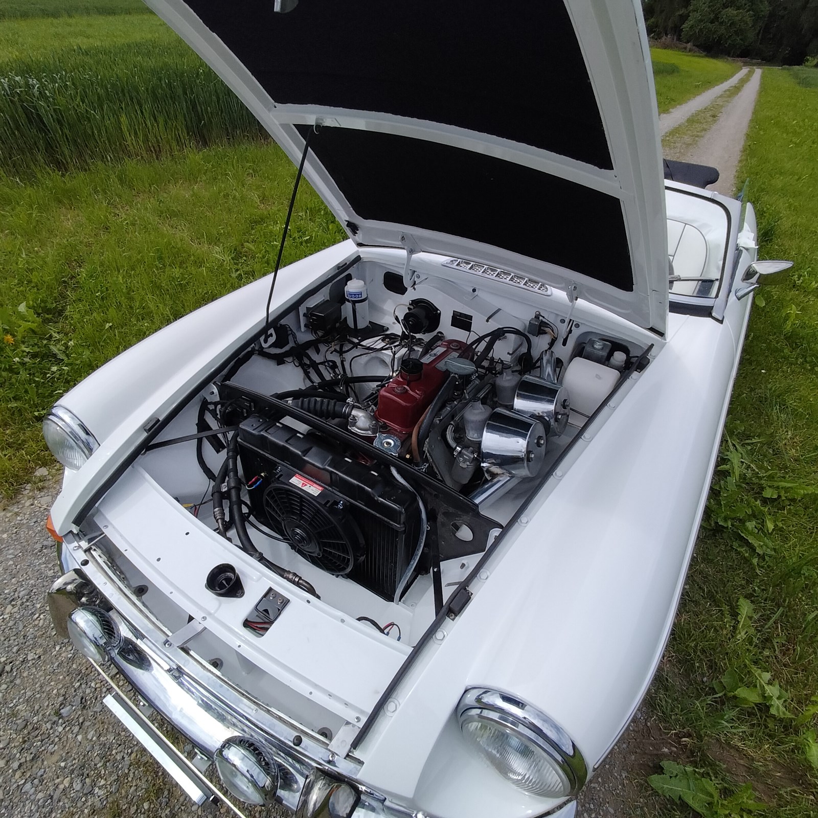 MG MGB Roadster-image-6