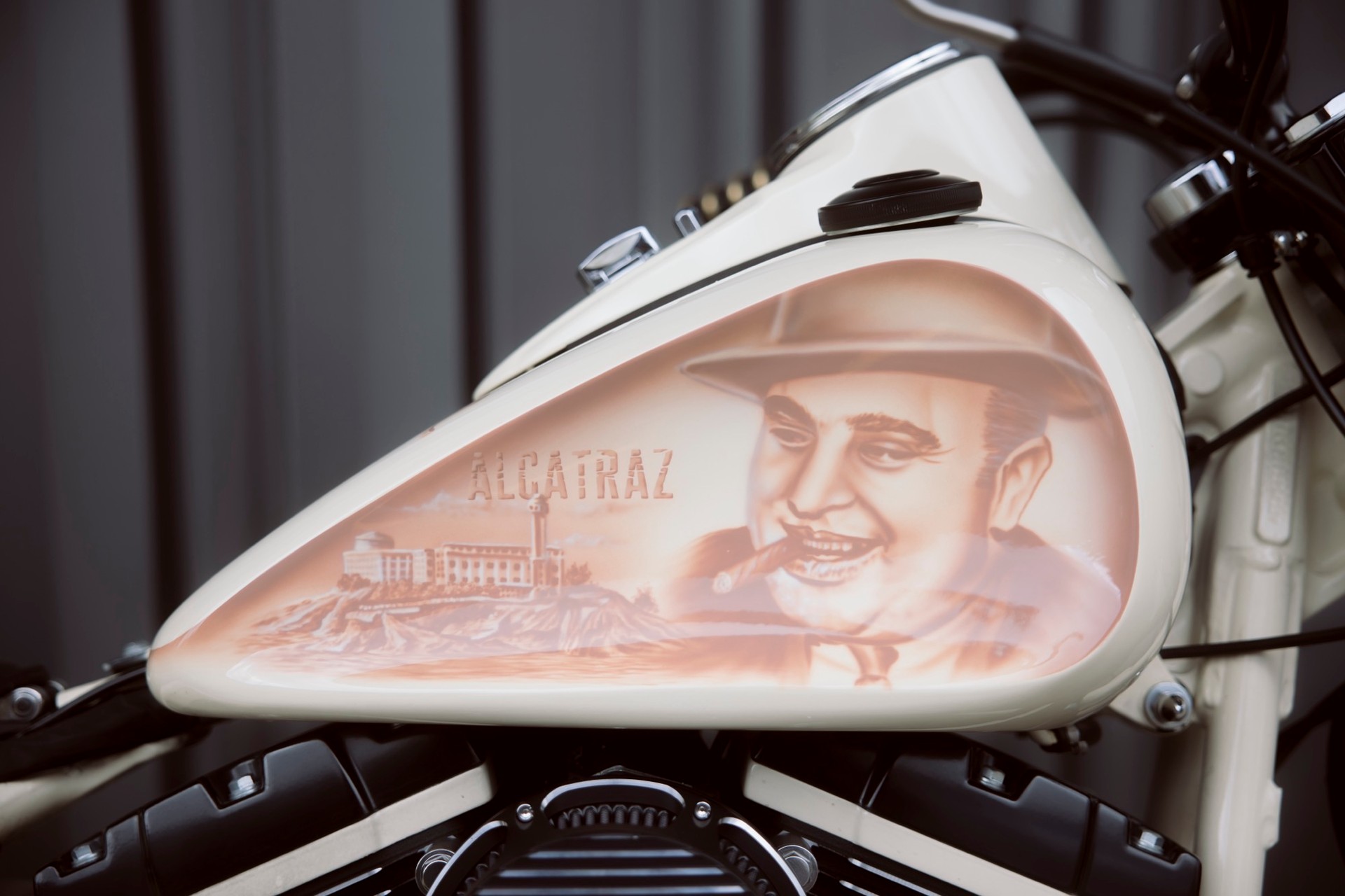 HARLEY-DAVIDSON FLS Softail Slim ABS-image-5