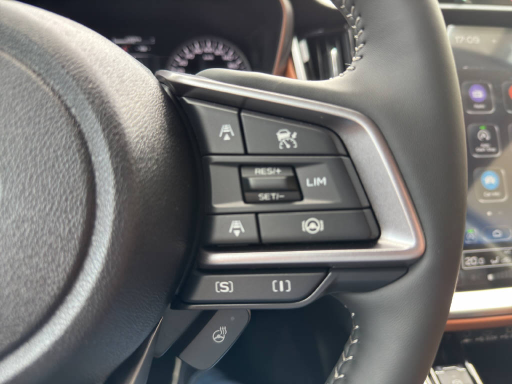 SUBARU Outback 2.5i 30th Anniversary Edition-image-8