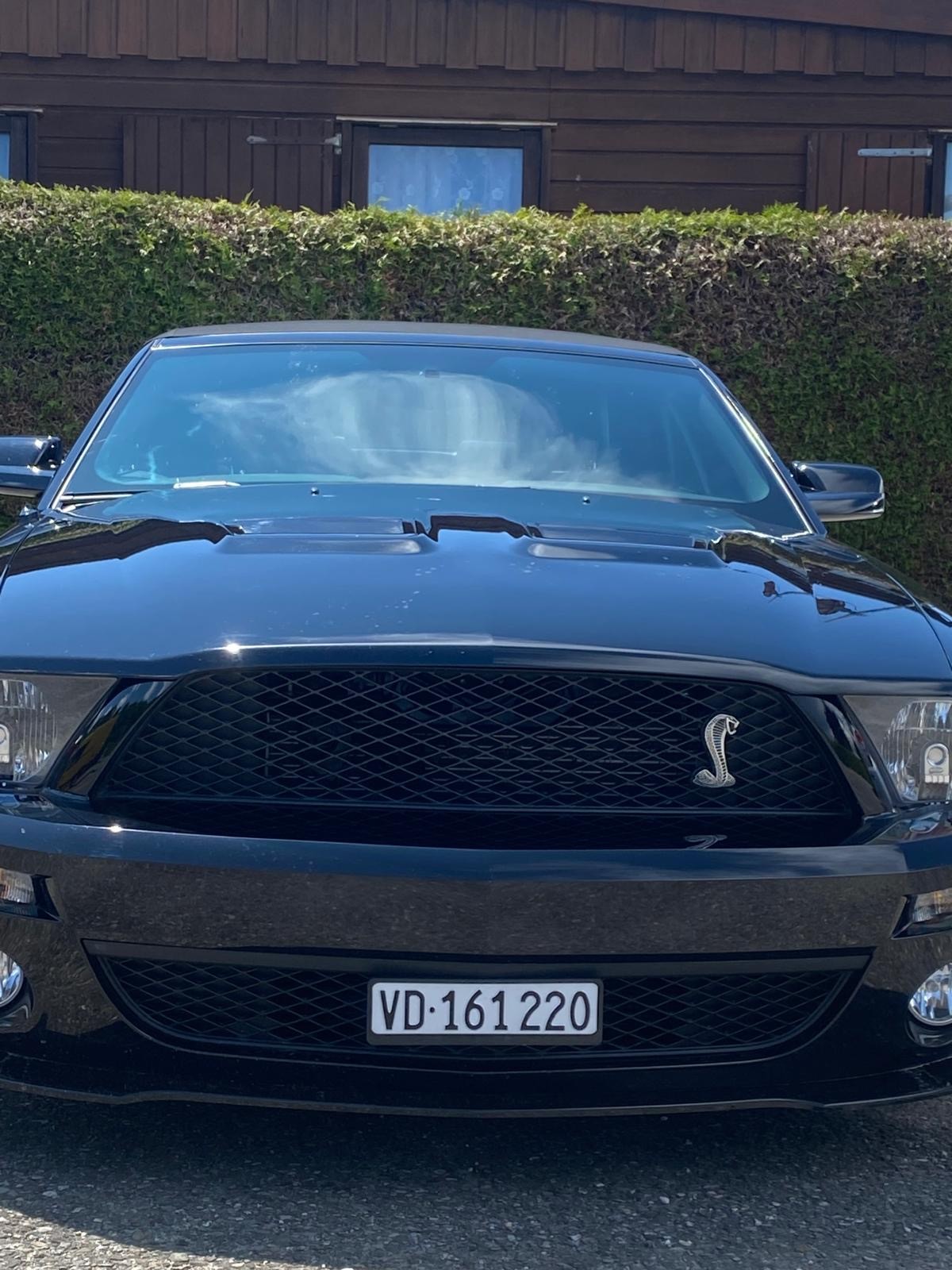 FORD Mustang SVT GT 500 Shelby-image-4