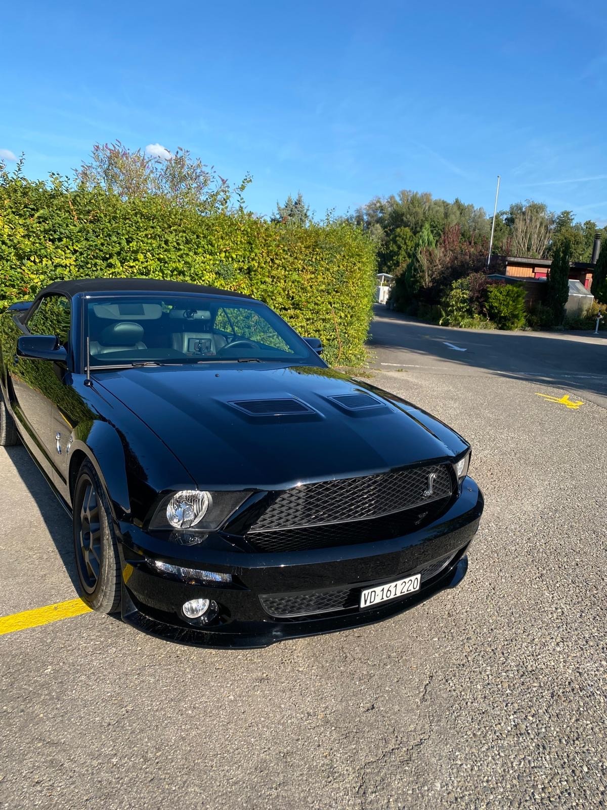 FORD Mustang SVT GT 500 Shelby-image-1
