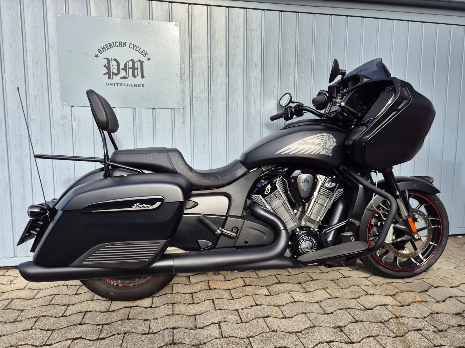 INDIAN DARK HORSE-image-4