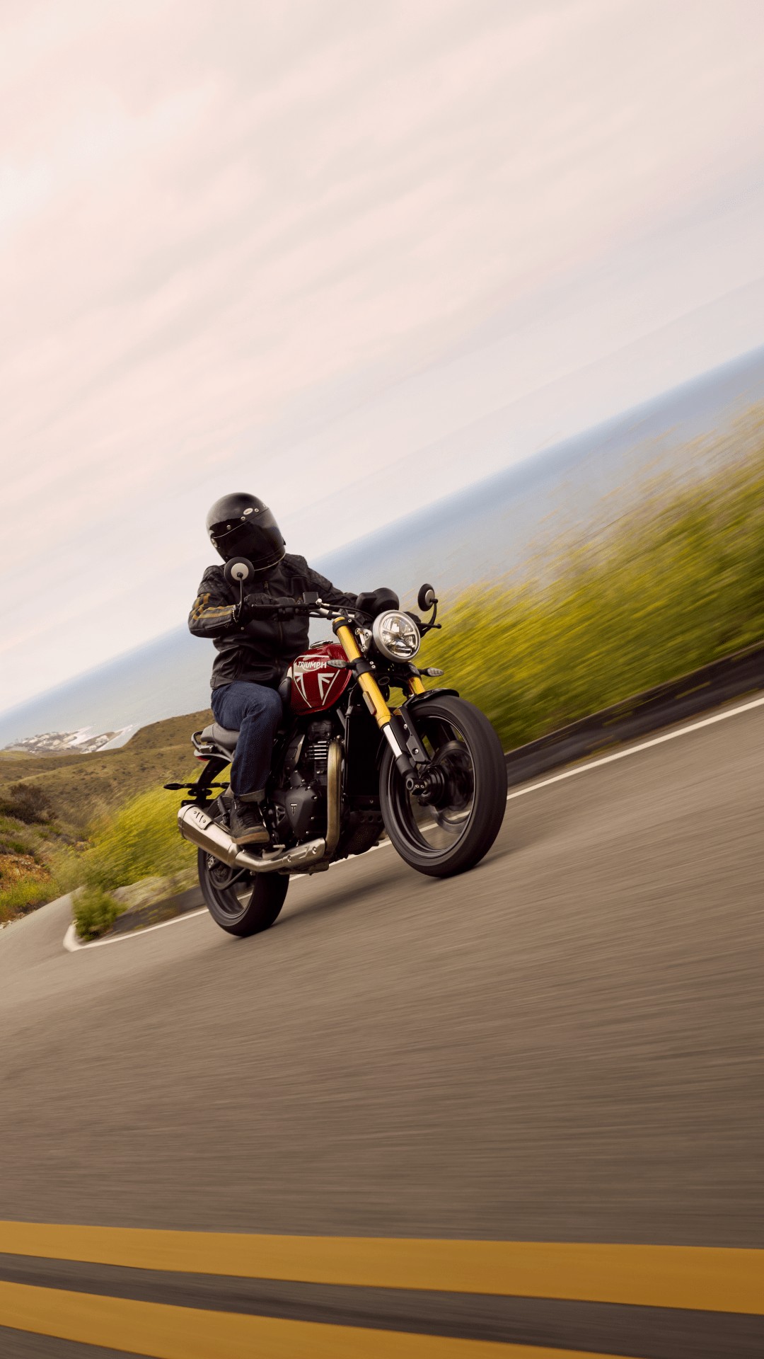 TRIUMPH Speed 400-showroom-element-3
