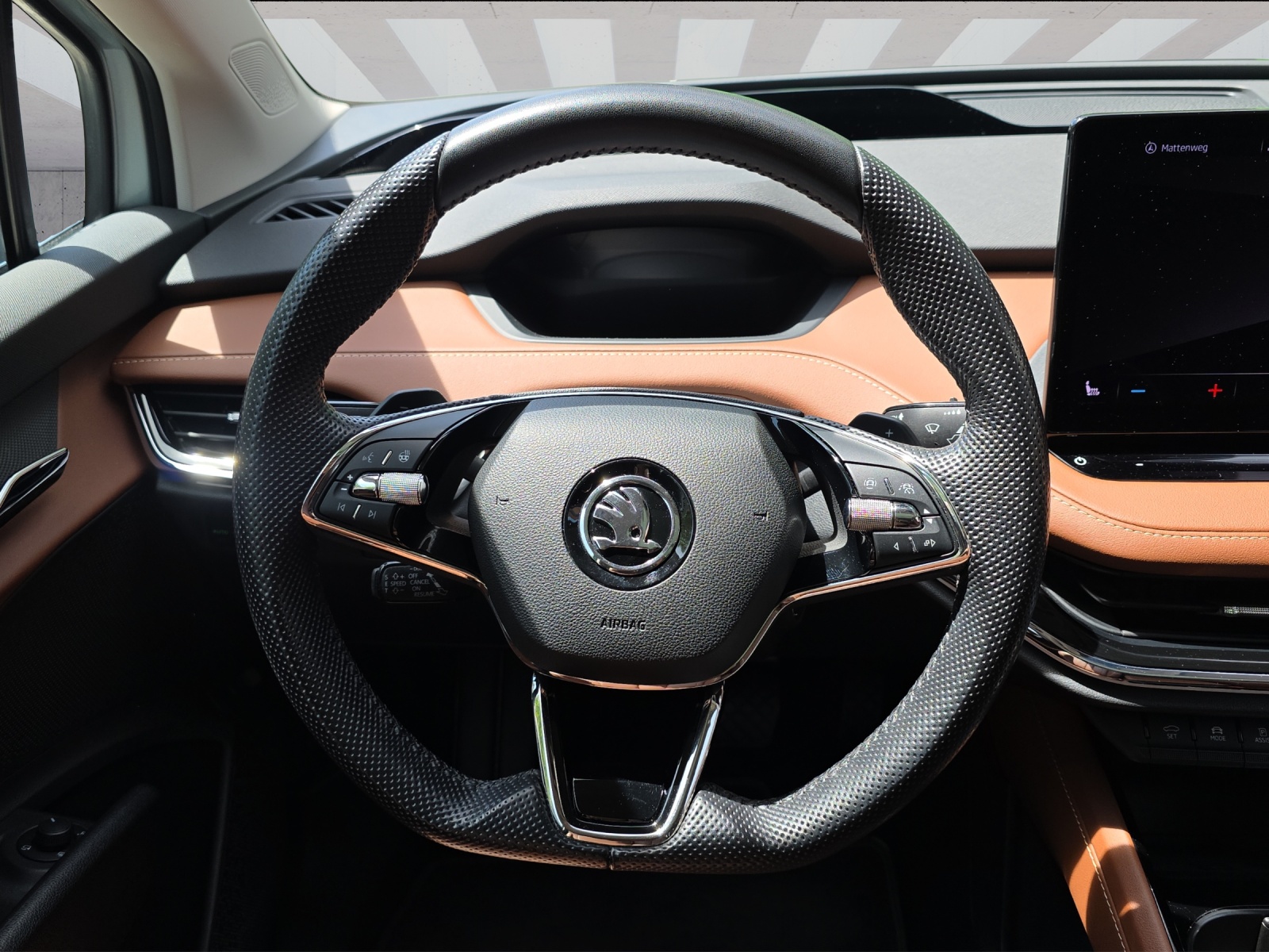 SKODA Enyaq iV 80x-image-5