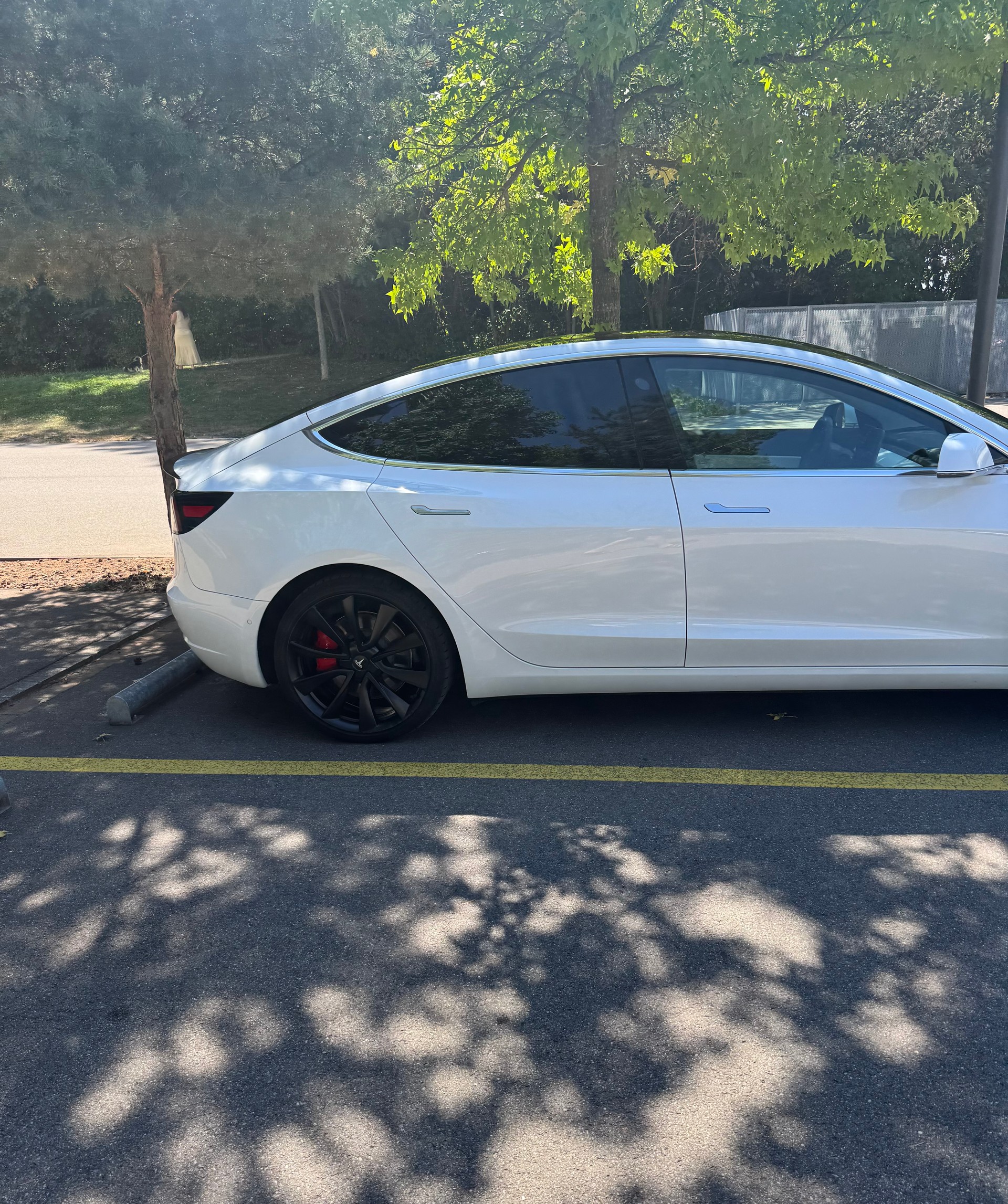 TESLA TESLA Model 3 Performance Dual Motor AWD-image-3