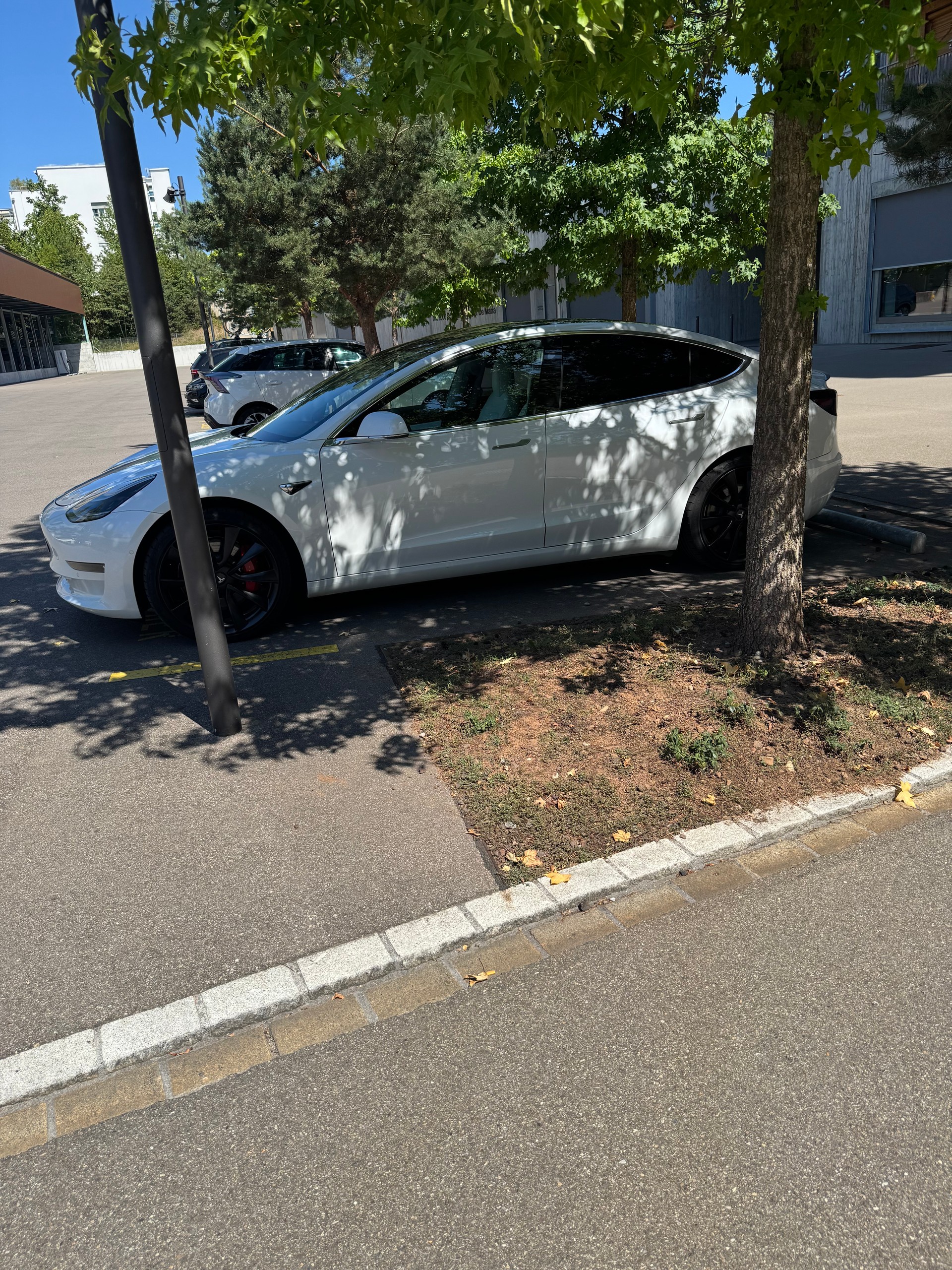 TESLA TESLA Model 3 Performance Dual Motor AWD-image-1