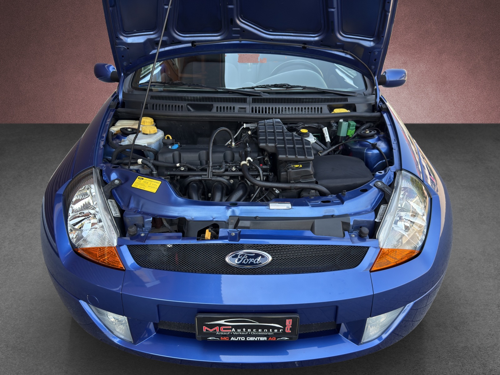 FORD Streetka 1.6 (Luxury)-image-13