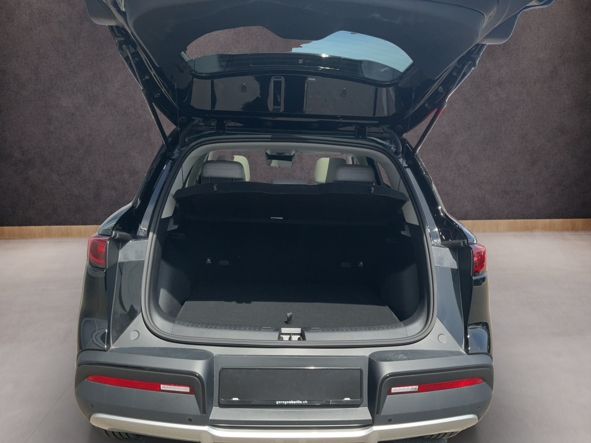 BYD Atto 2 DM-i Boost-image-12