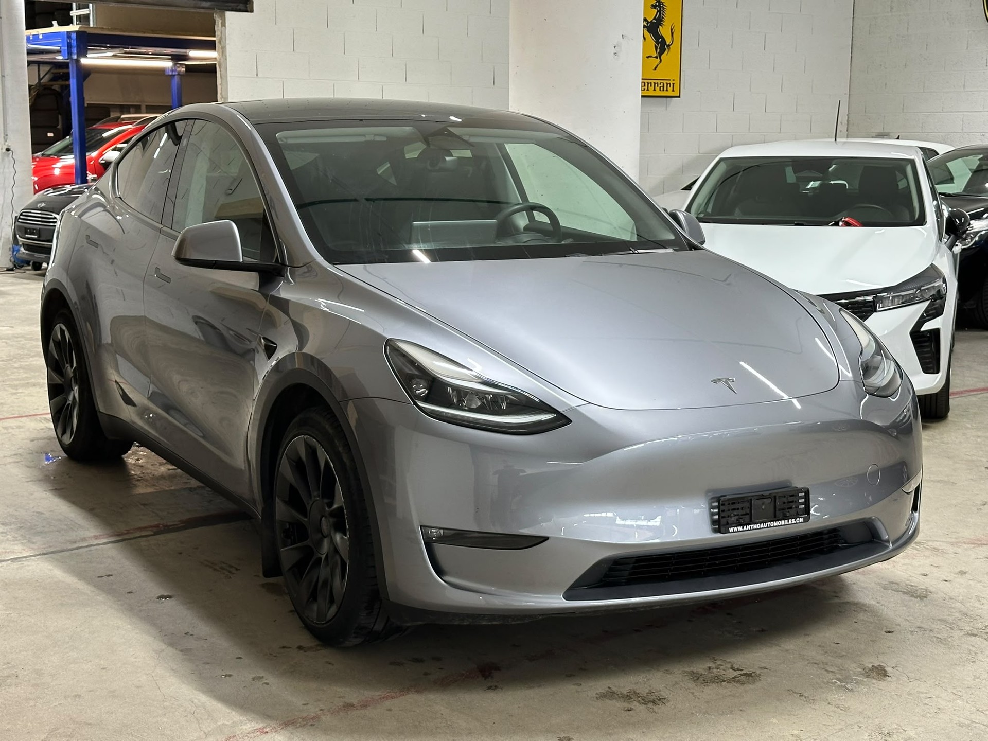 TESLA Model Y Long Range-image-2